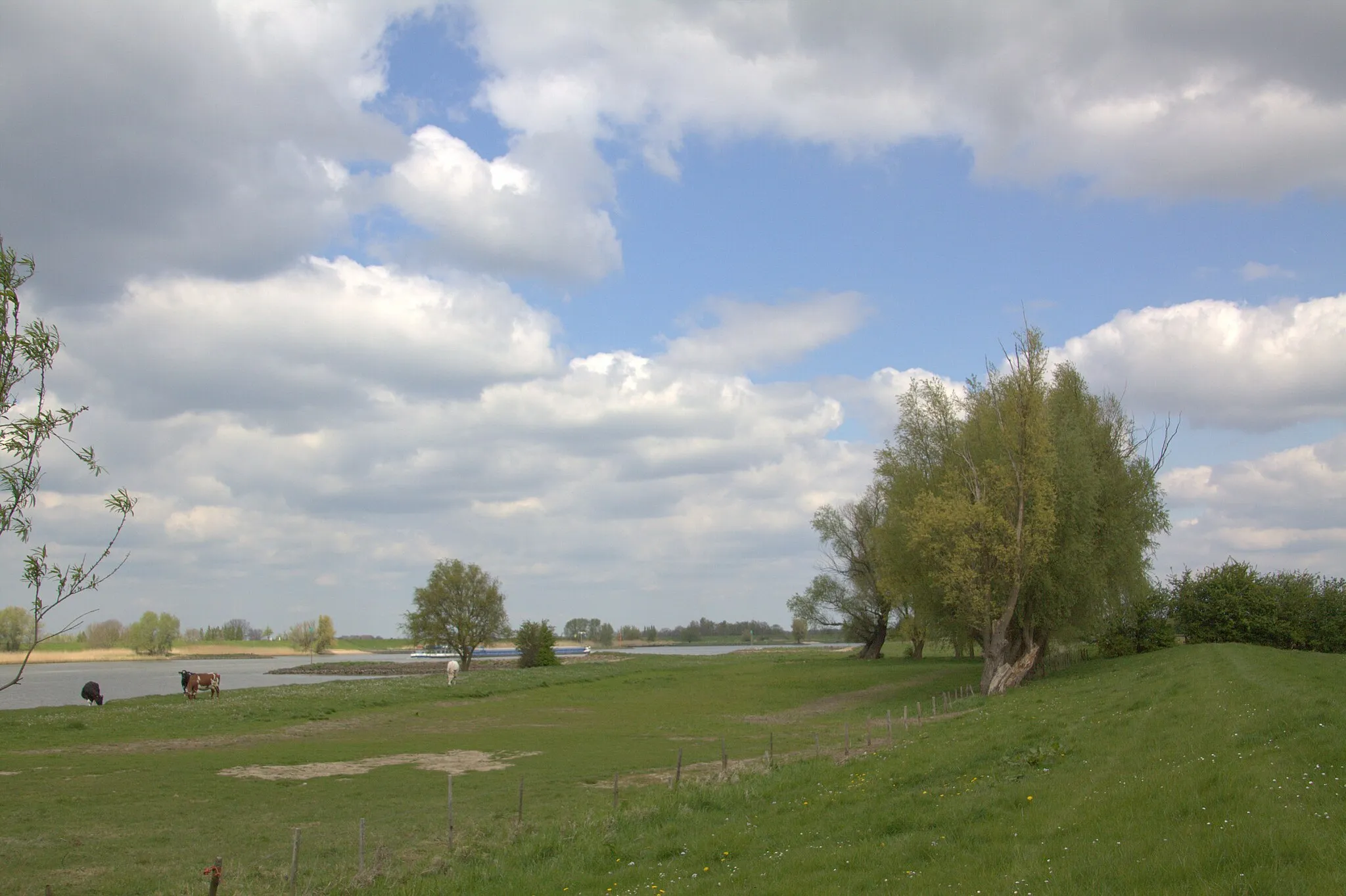 Photo showing: Bij het buurtschap Achthoven op de Lekdijk zie we de mooie Achthovense Uiterwaarden in de streek de Vijfheerenlanden.