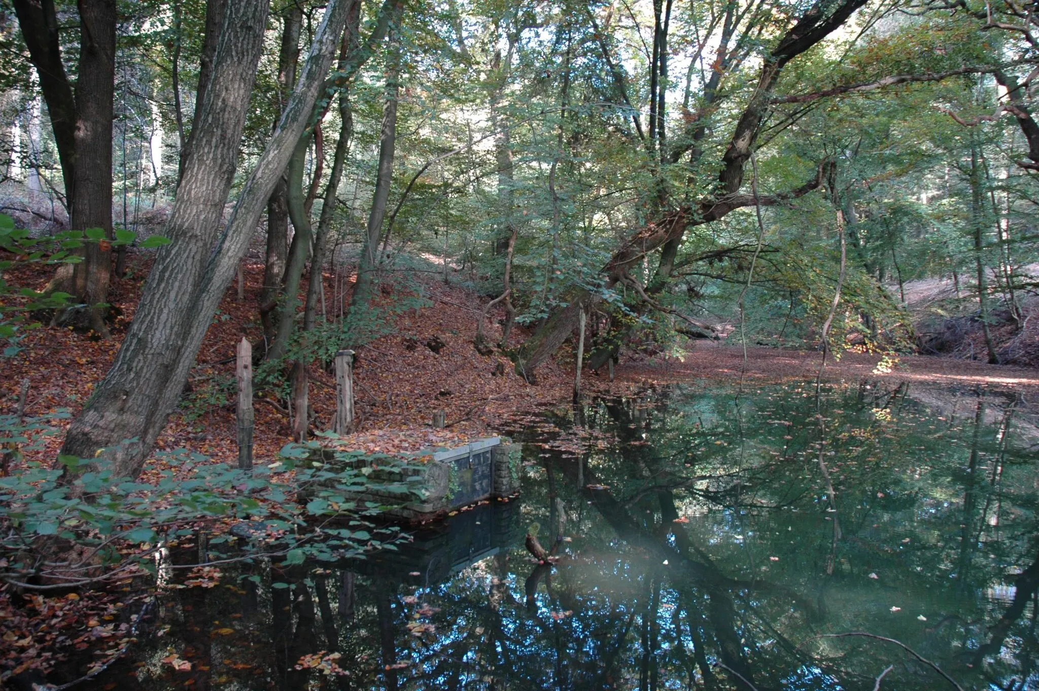 Photo showing: waterreservoir van de Bovenste Plasmolen