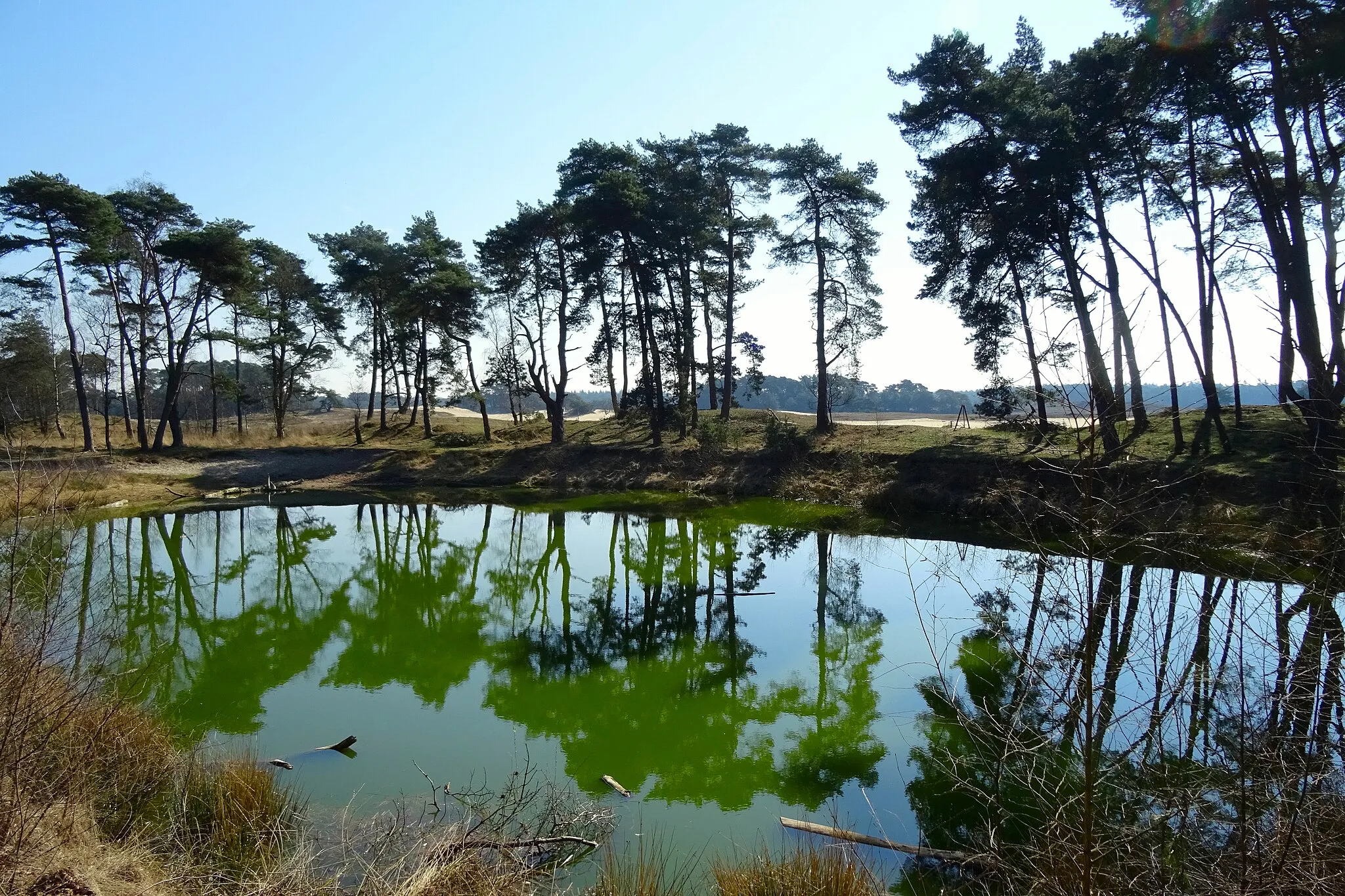 Photo showing: Het Wekeromse Zand