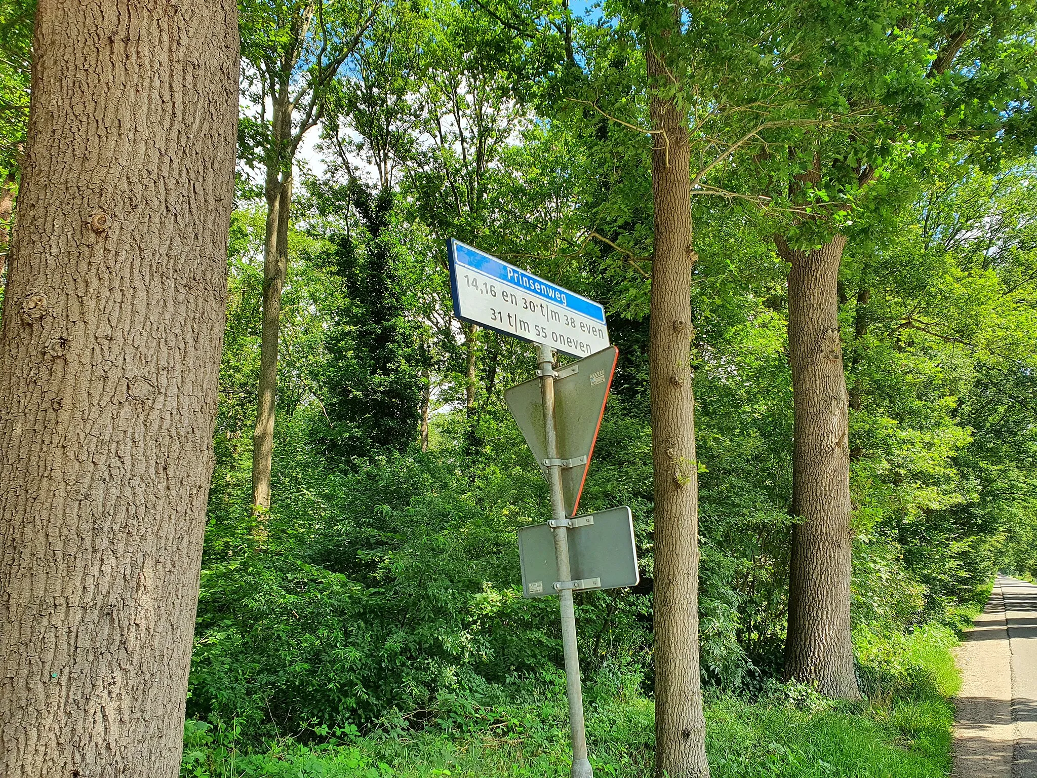 Photo showing: Prinsenweg, Municipality Nijkerk