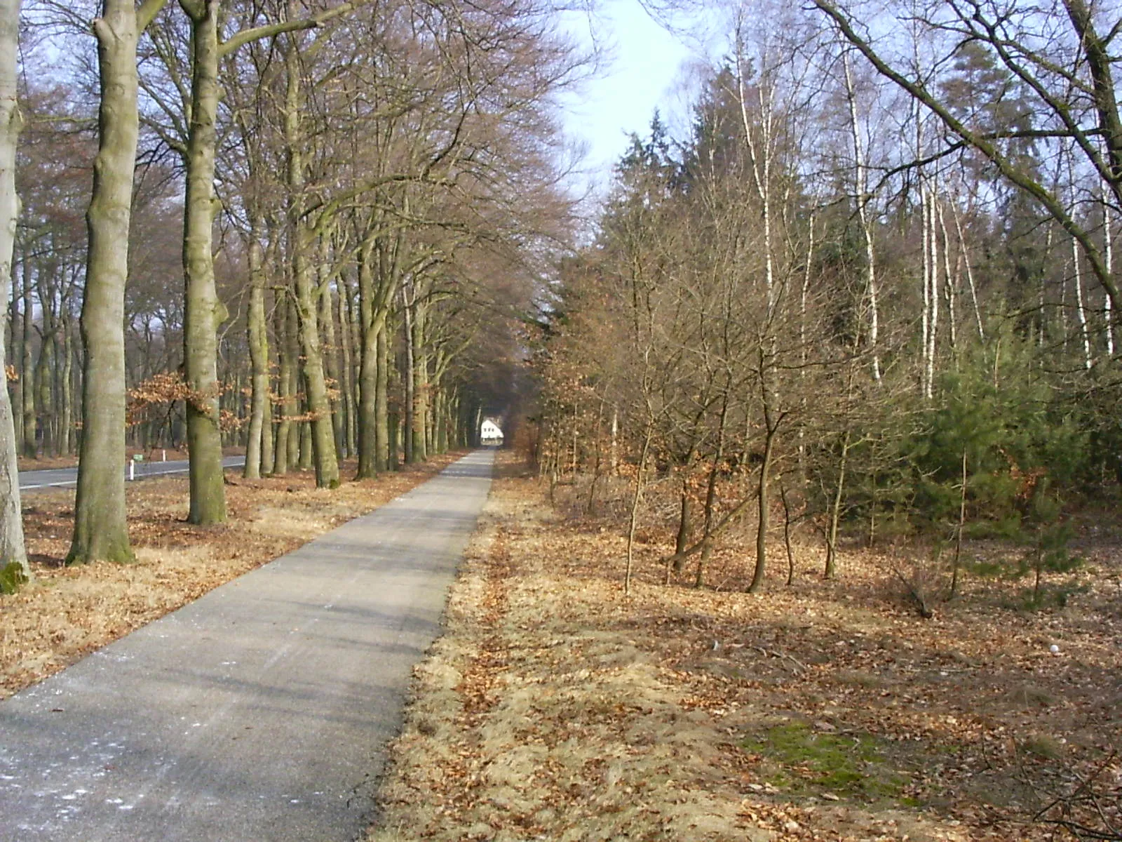 Photo showing: Fietspad langs de N224, Planken Wambuis