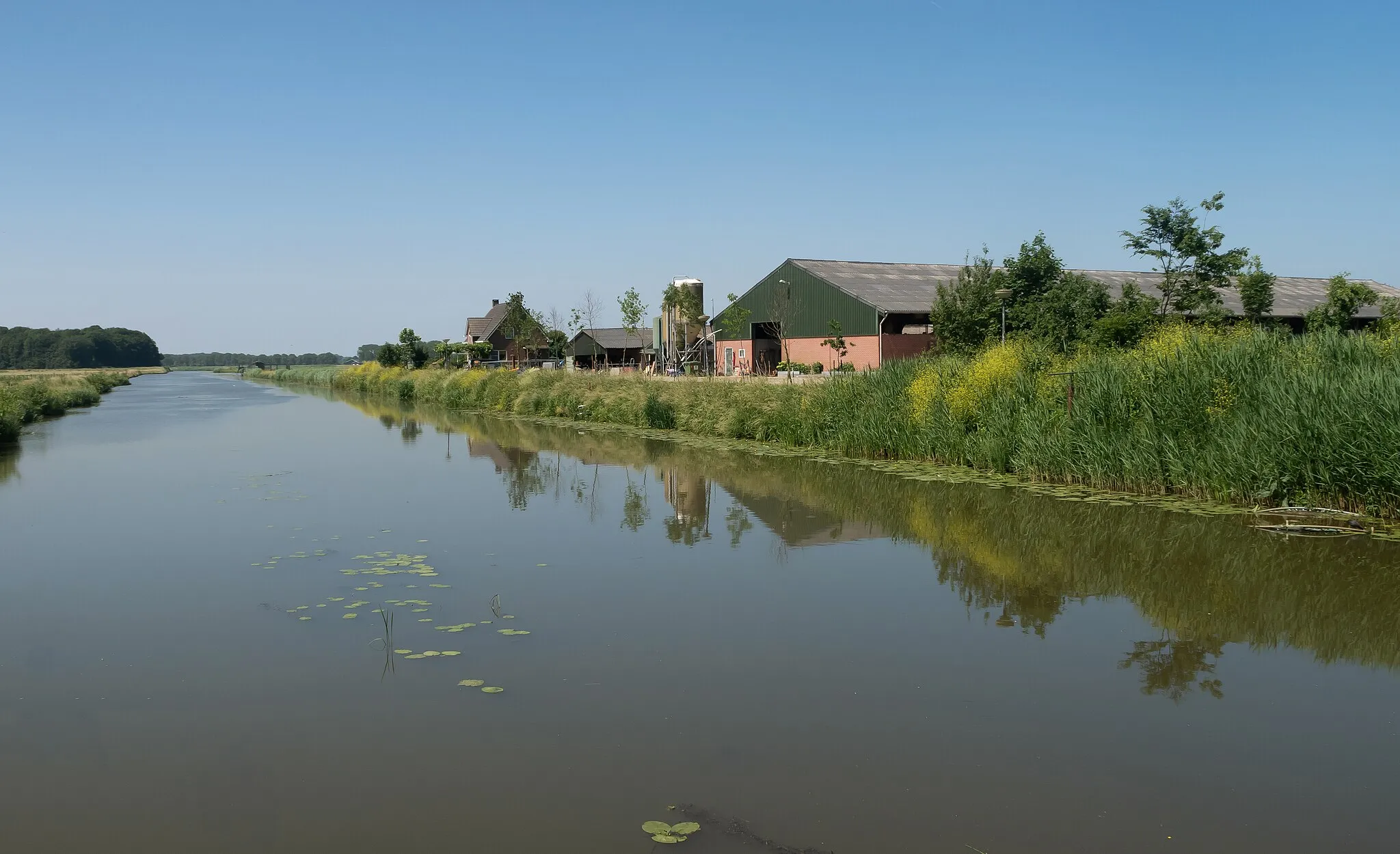 Photo showing: between Horssen and Hernen, agricultural company in the polder