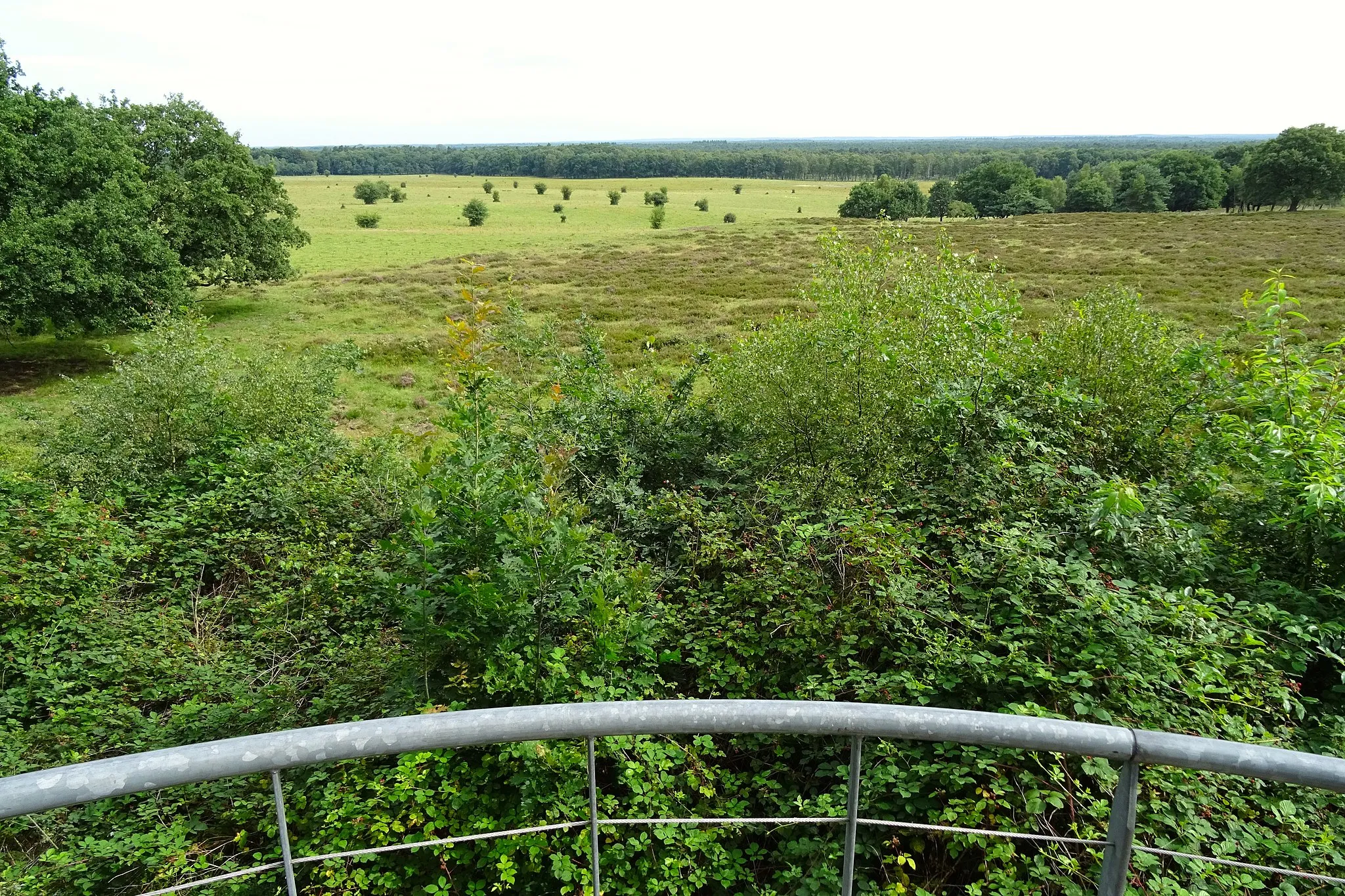 Photo showing: Uitzicht vanaf de Valenberg in het natuurgebied Planken Wambuis