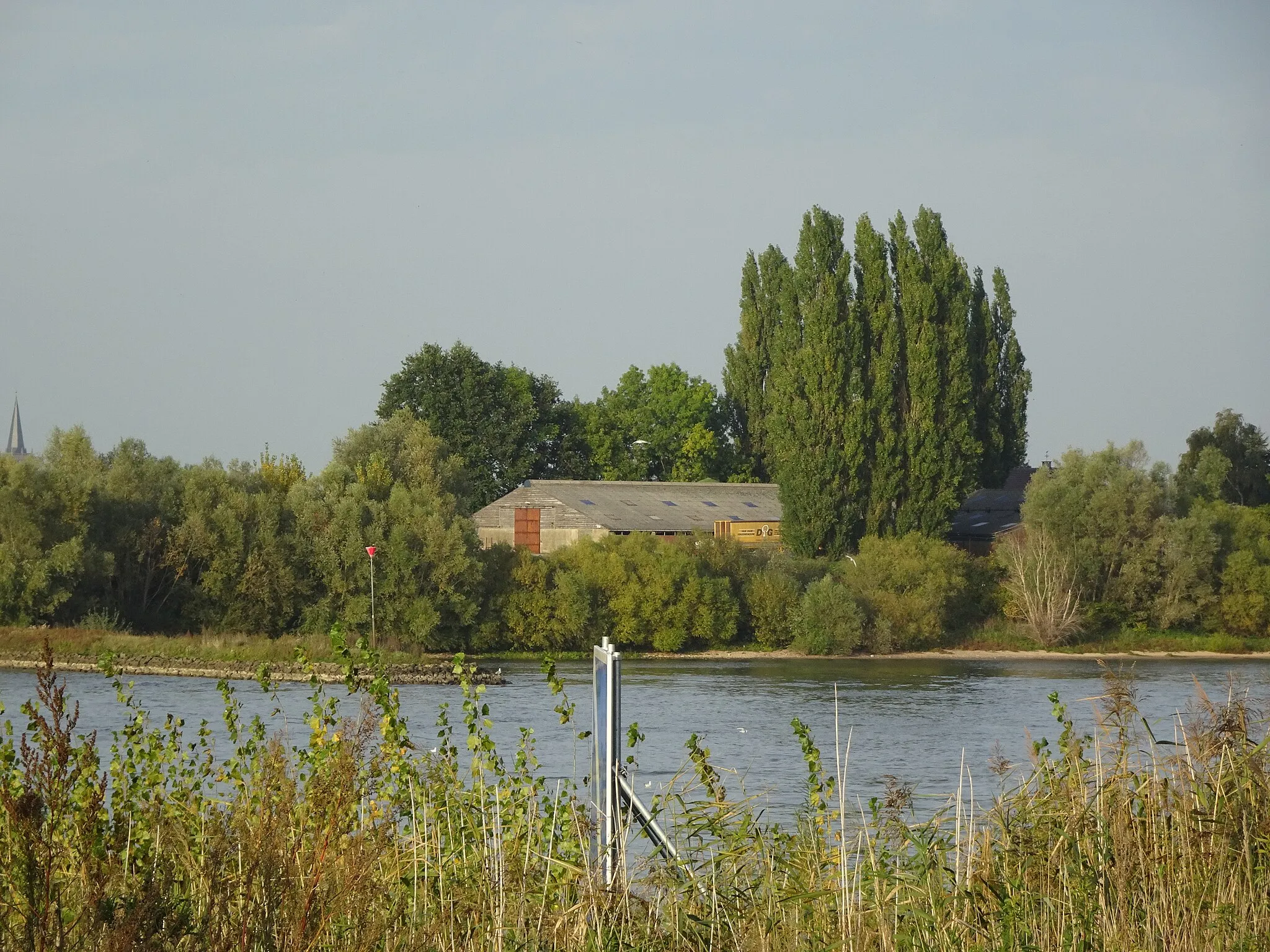 Photo showing: Boerderij in natuurgebied Bijenwaard in Spijk gezien over de Rijn / Bijlandsch Kanaal vanuit het natuurgebied Salmorth in Kleef