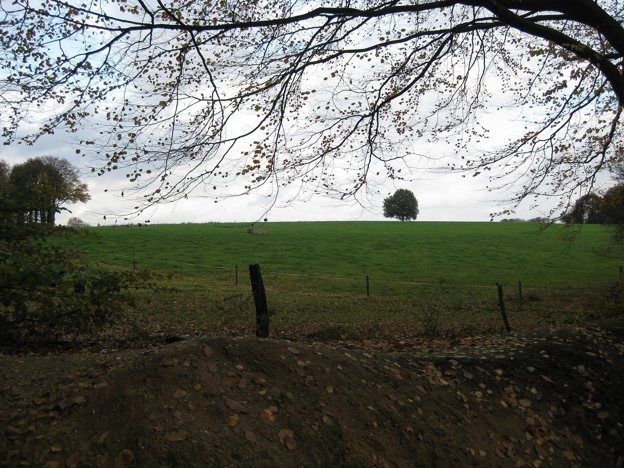 Photo showing: Field at top Push moraine st Jansberg