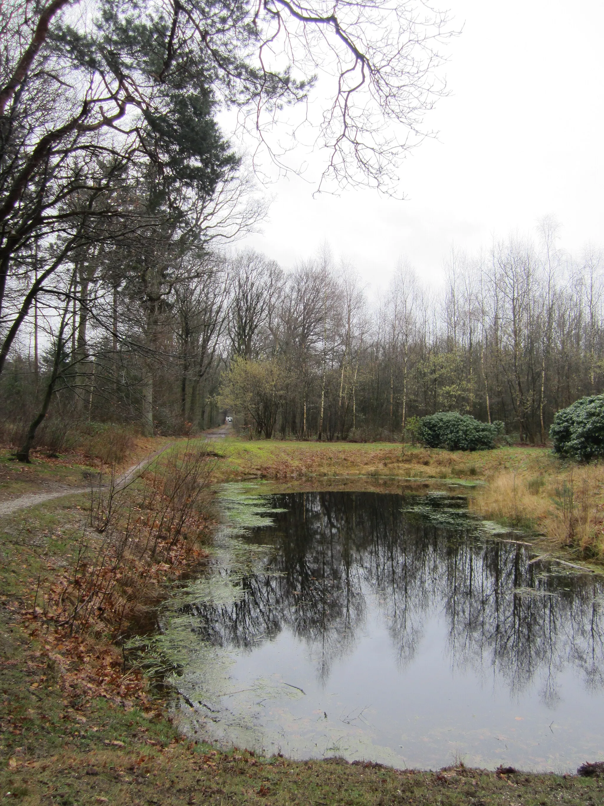 Photo showing: Waterpartij Landgoed Zwaluwenburg