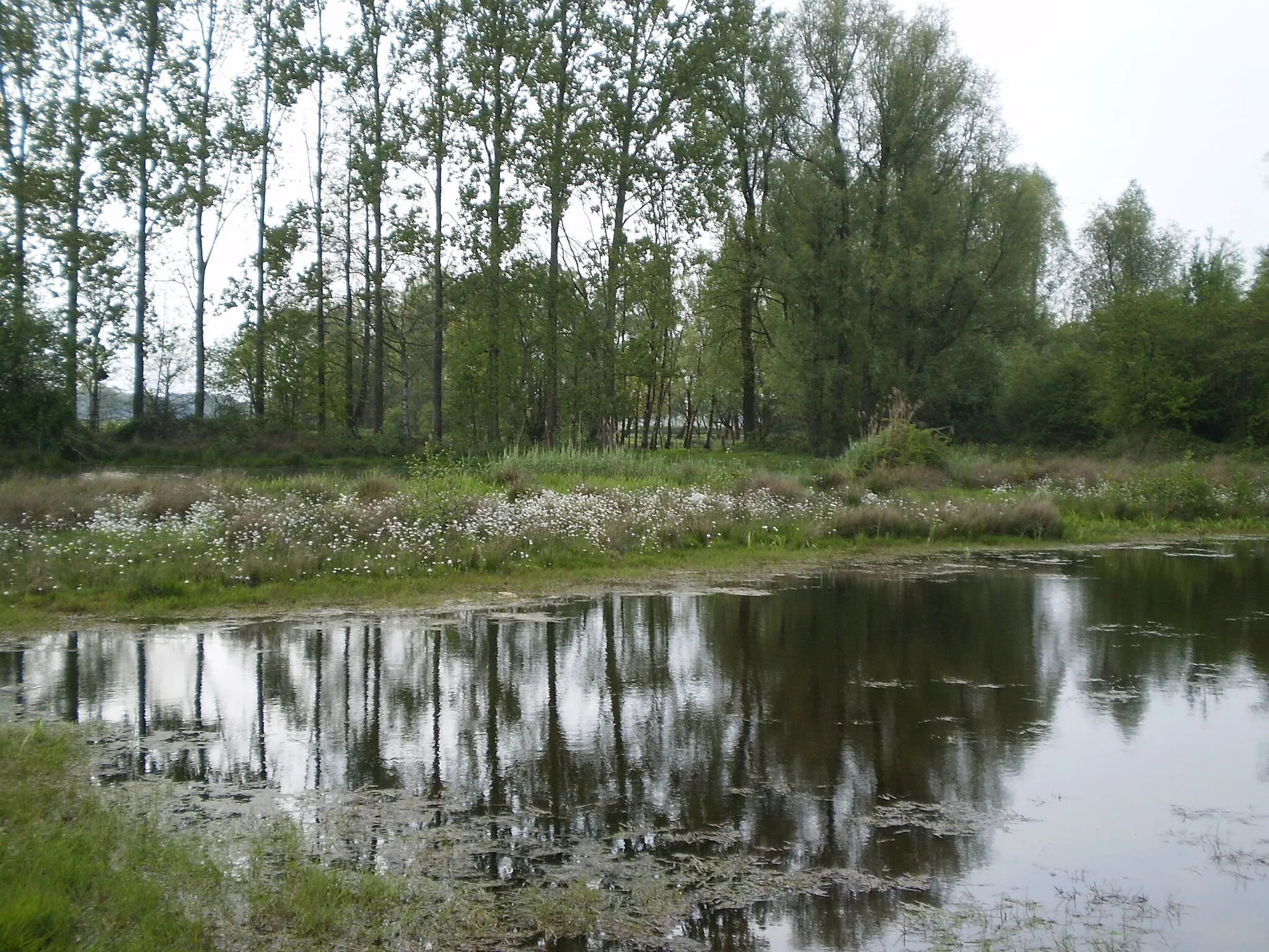 Photo showing: Beekbergerwoud near Apeldoorn (2)