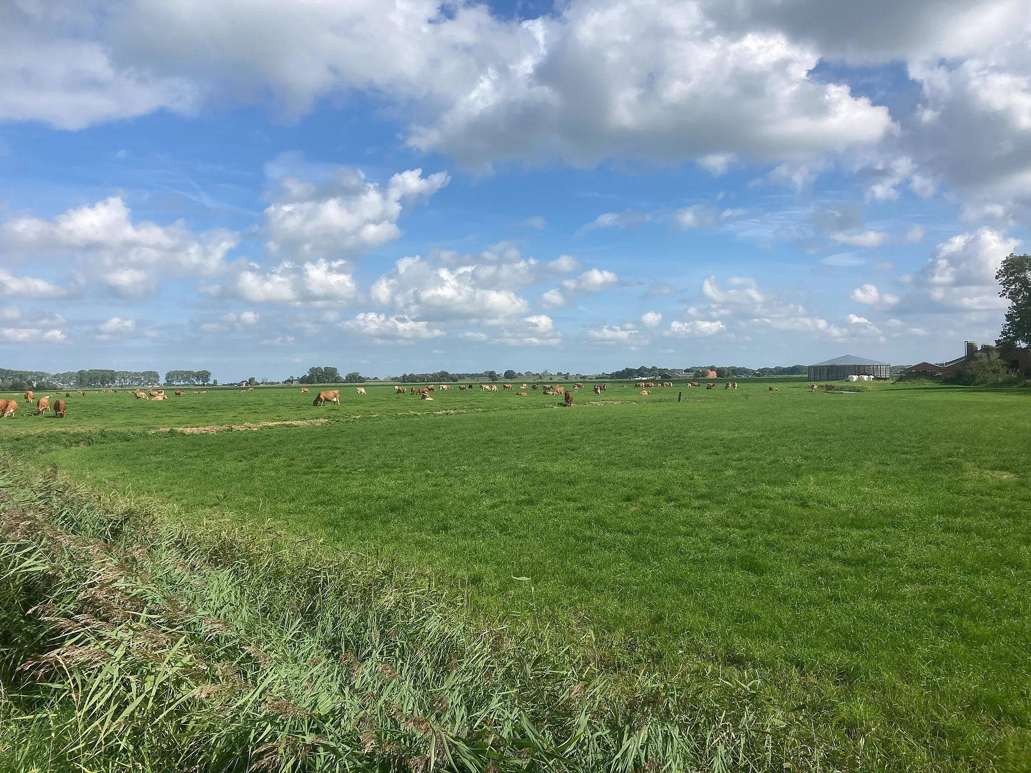 Photo showing: Gravenburg Groningen Dorkwerd Wierum Kleiwerd Slaperstil