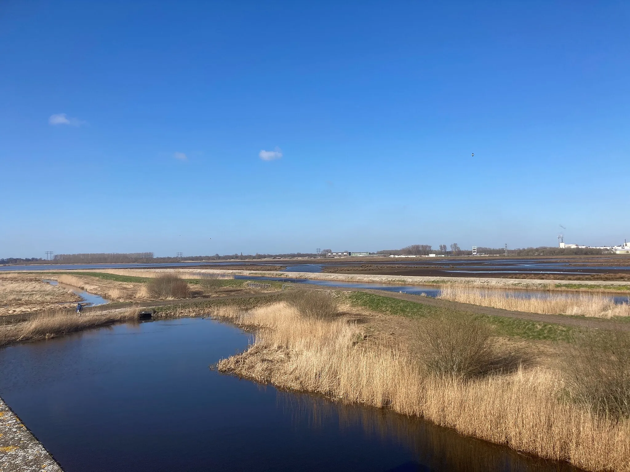 Photo showing: Onnerpolder Oostpolder