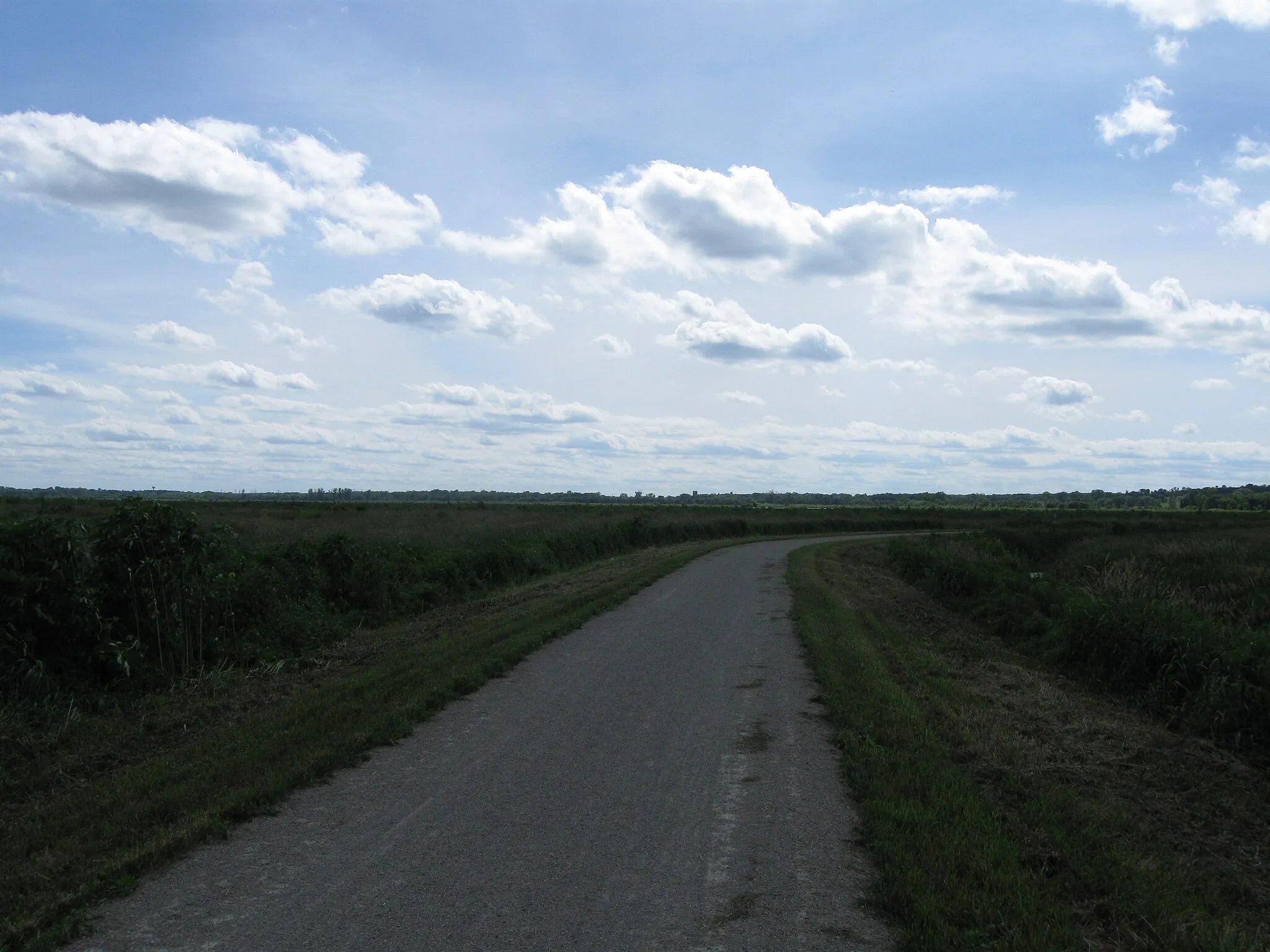 Photo showing: View along Glacial Drumlin trail, Zeloski Marsh