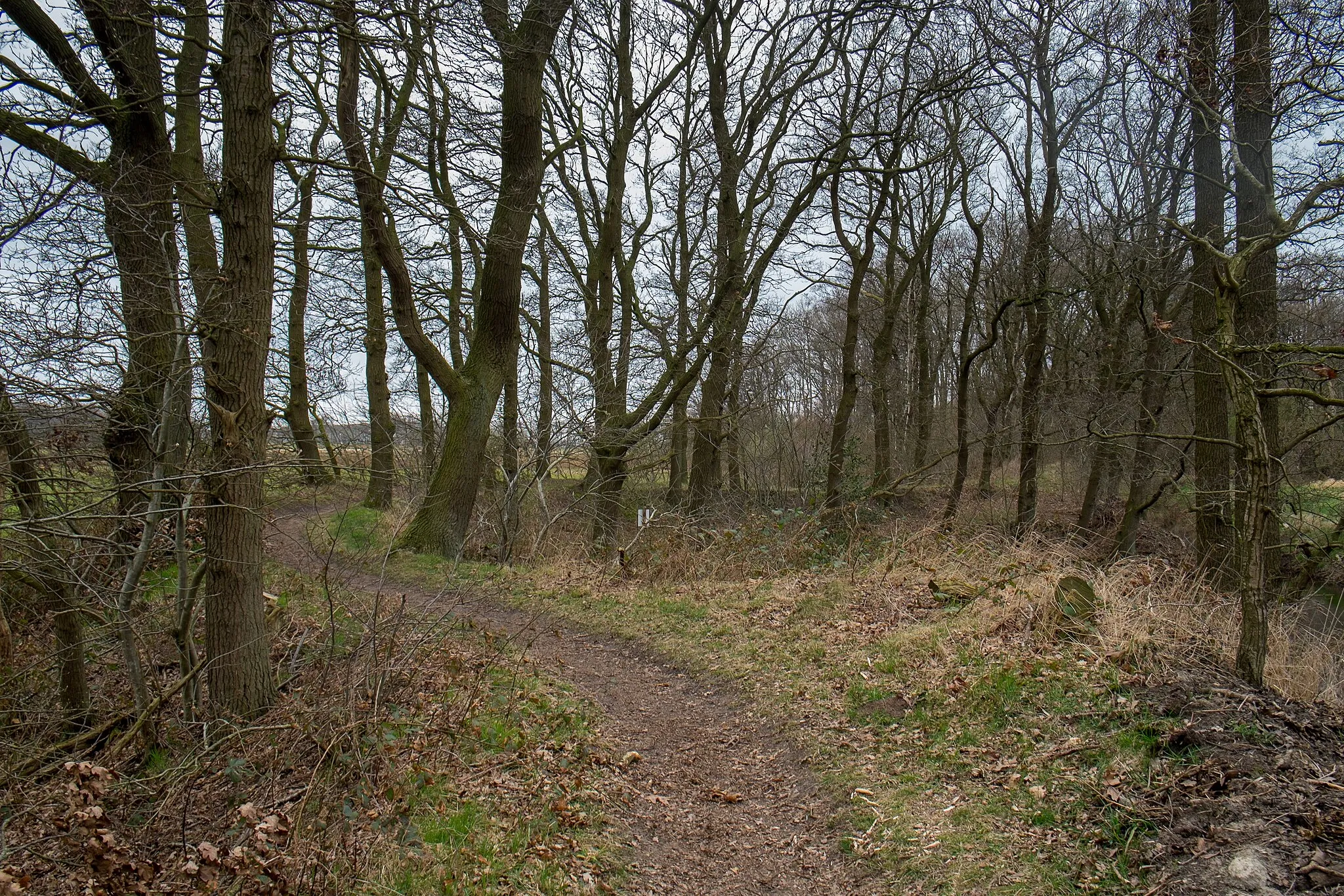 Photo showing: Kerkepad bij de Jeudenkolke (rechts) tussen Wedde en Wedderveer/Wedderbergen