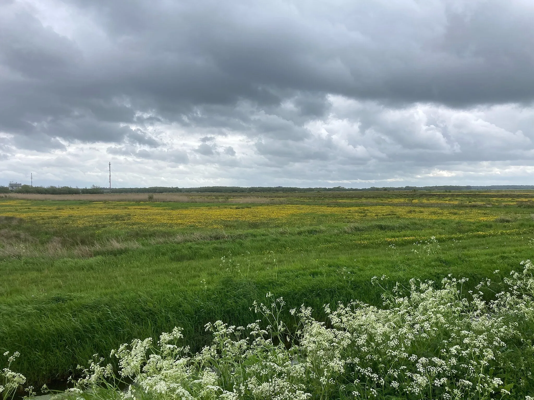 Photo showing: Dal van Eener Diep, Grote Diep Norger Esdorpen Gasopslag Langelo