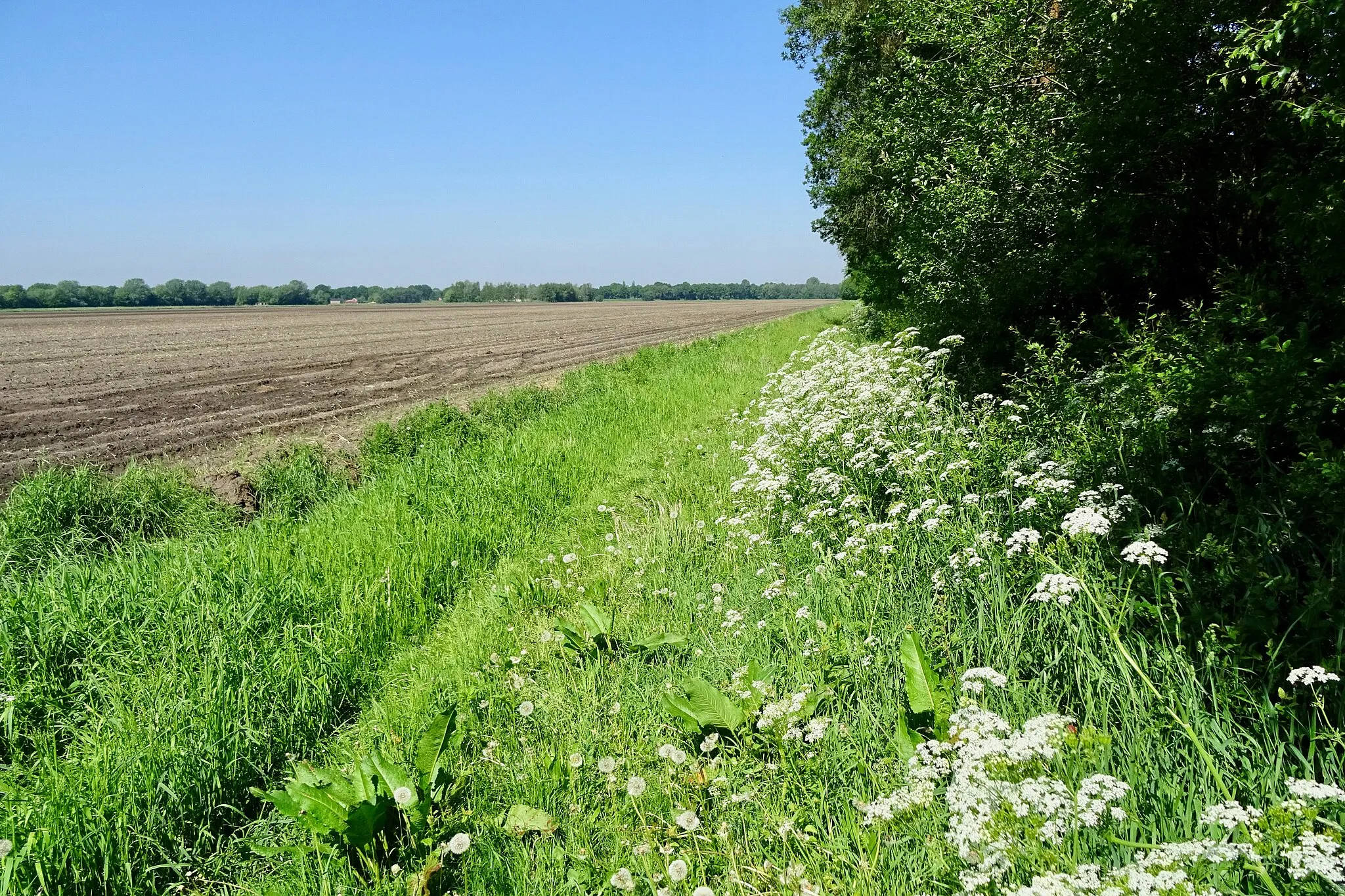 Photo showing: natuurgebied De Lethe