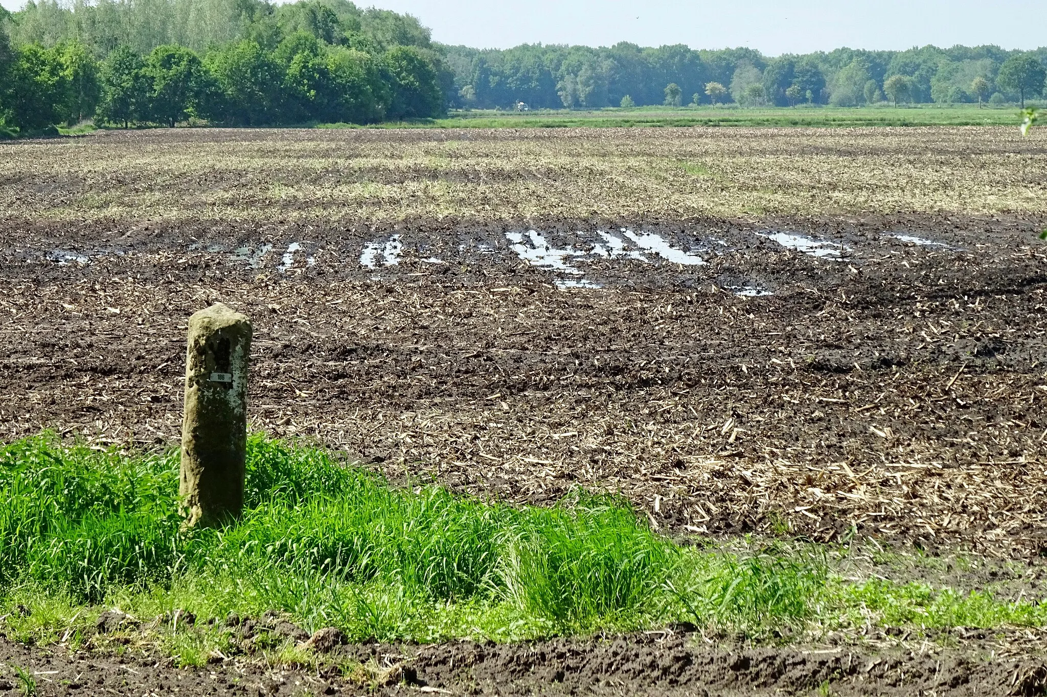 Photo showing: Grenspaal nabij de Lethe en de Brualer Schloot