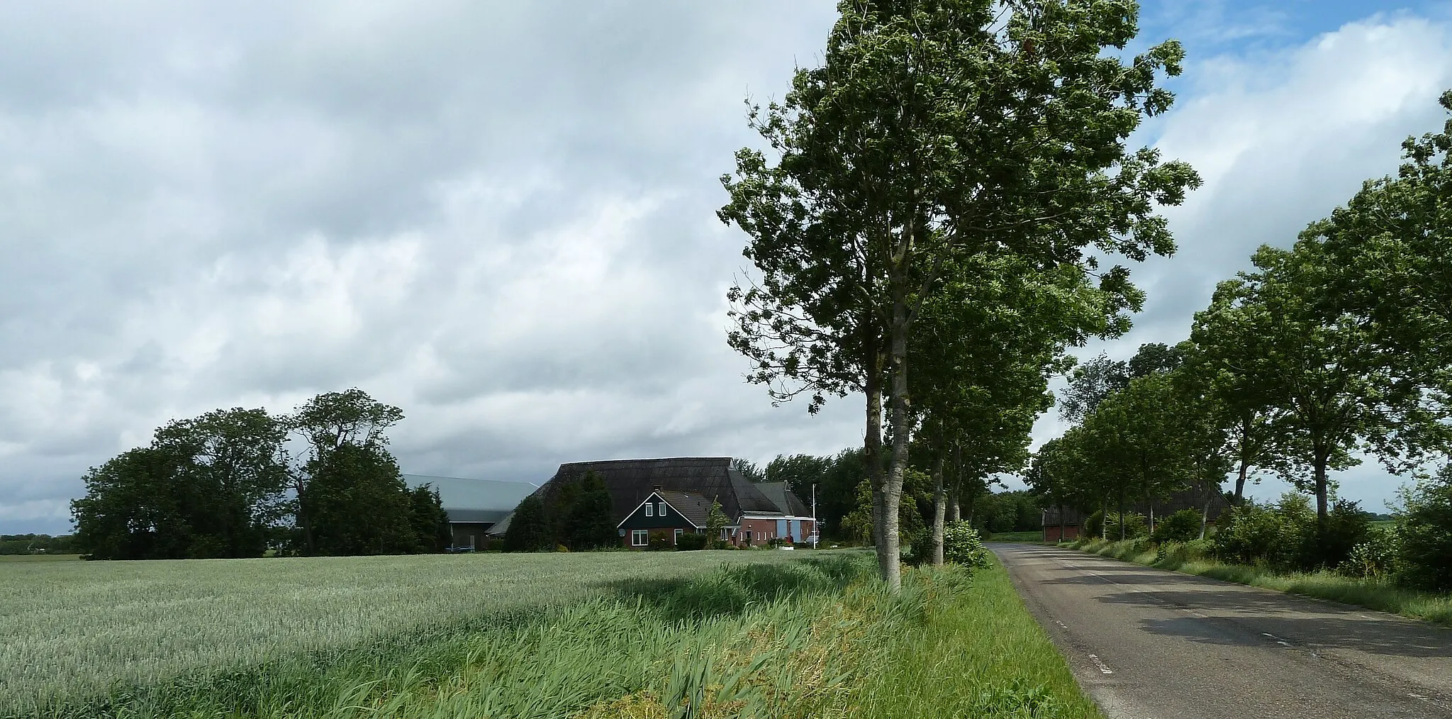 Photo showing: Boerderij 't Huis Wiersum in Nijenklooster