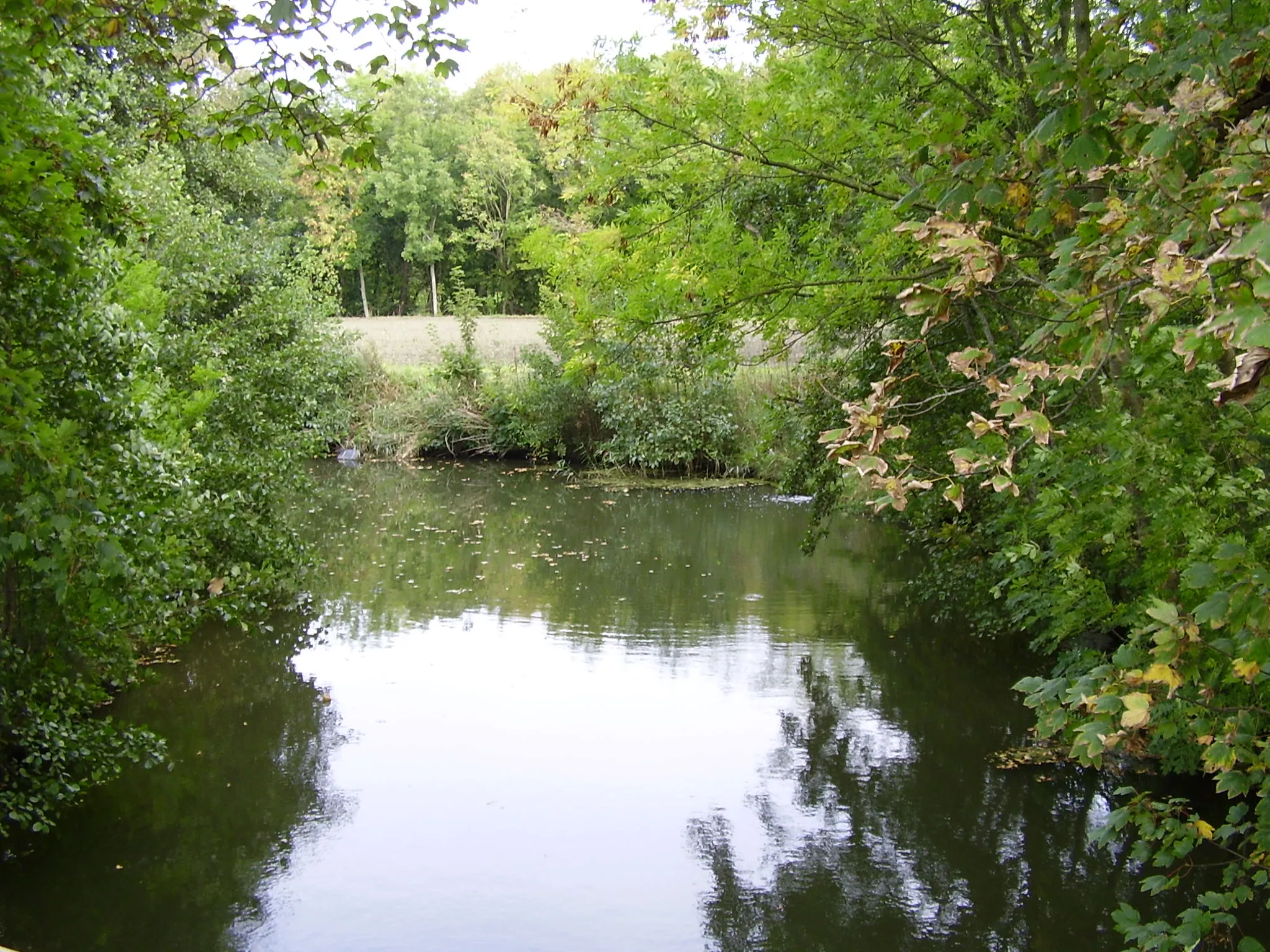 Photo showing: Zandstermaar bij Alberdaheerd