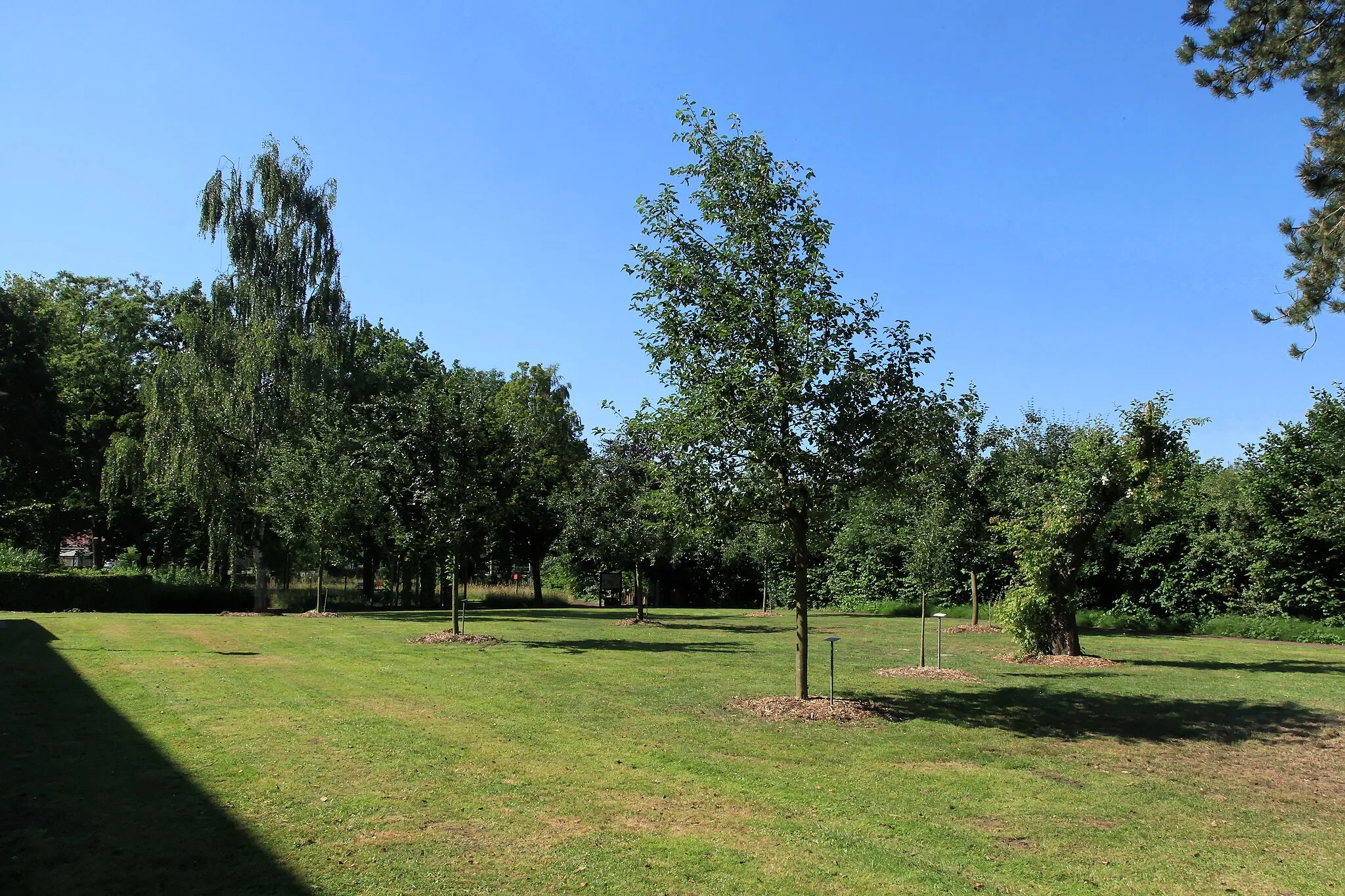 Photo showing: Herbrumer Naturgarten, Herzogstraße in Herbrum, Papenburg
