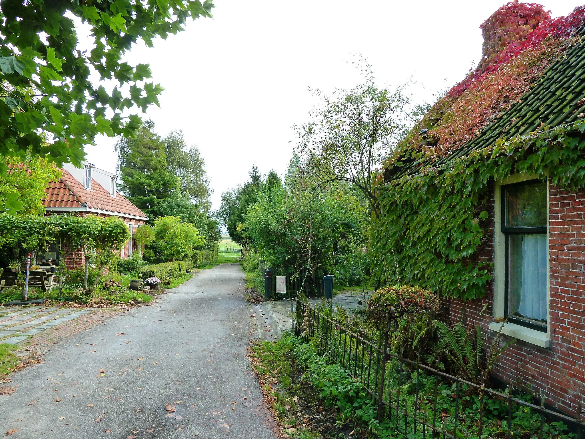 Photo showing: Straatgezicht in de straat Burum in het Groningse dorp Warfhuizen.