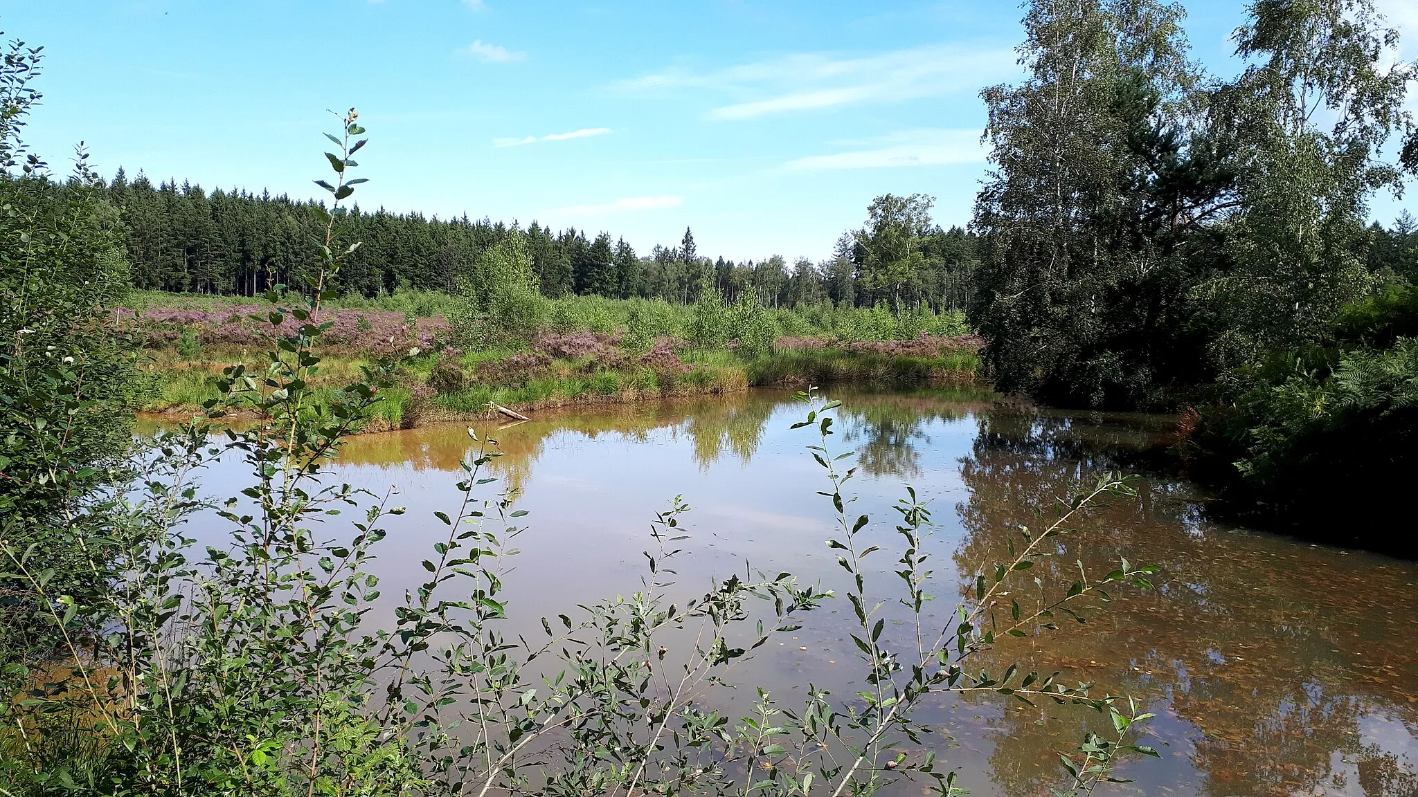 Photo showing: Lensbachquelle bei Rott im Naturschutzgebiet Zweifaller und Rotter Wald