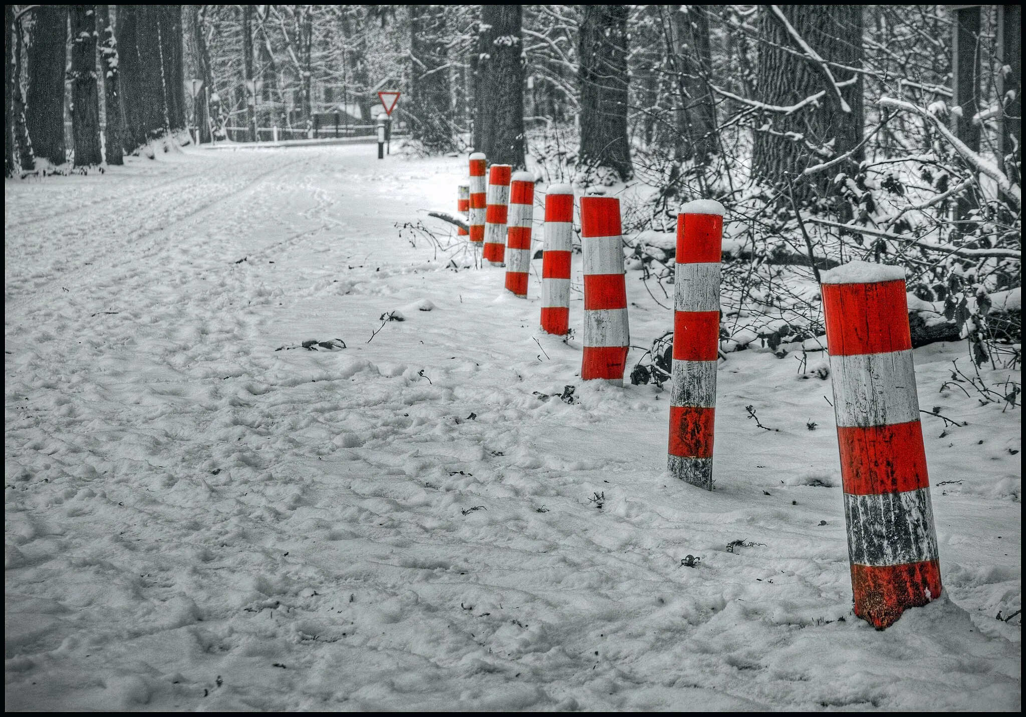 Photo showing: "Langepad" between Haelen and Heythuysen

(Highest position on Explore: #148 on Tuesday, February 16, 2010)