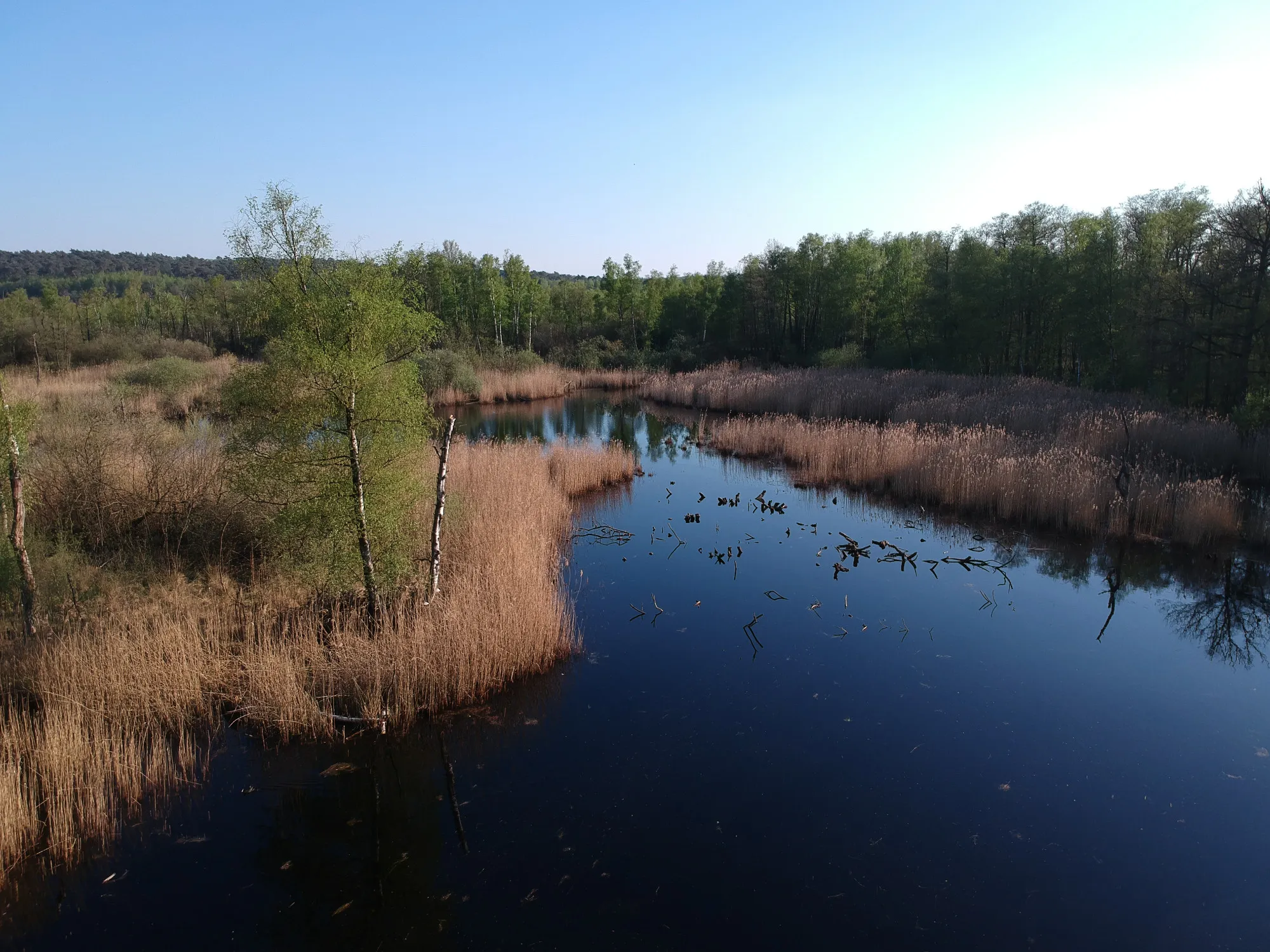 Photo showing: Wasserfläche im Elmpter Schwalmbruch, Kreis Viersen, NRW