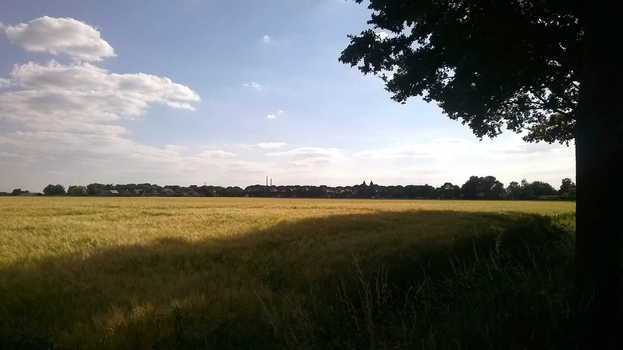 Photo showing: Zicht op het dorp Einighausen. Rechts op de foto staat een eikenboom die langs de Leeuwerik staat. Het gele graanveld is bijna rijpe gerst. De dubbele kerktoren van het dorp is te zien. Op de achtergrond staan een drietal schoorstenen van Chemelot. Links op de foto is de straat Schepenbank. Foto genomen tegenover Leeuwerik 1 in zuidwestelijke richting.