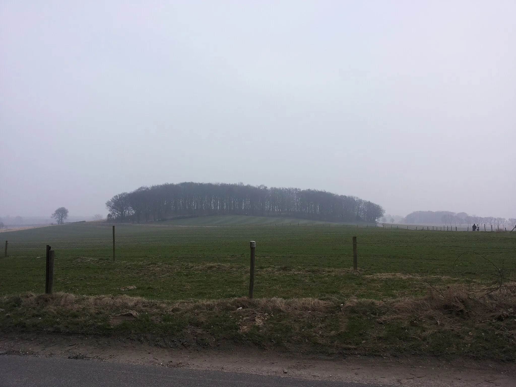 Photo showing: Vrouwenheide in de mist, Zuid-Limburg, Nederland