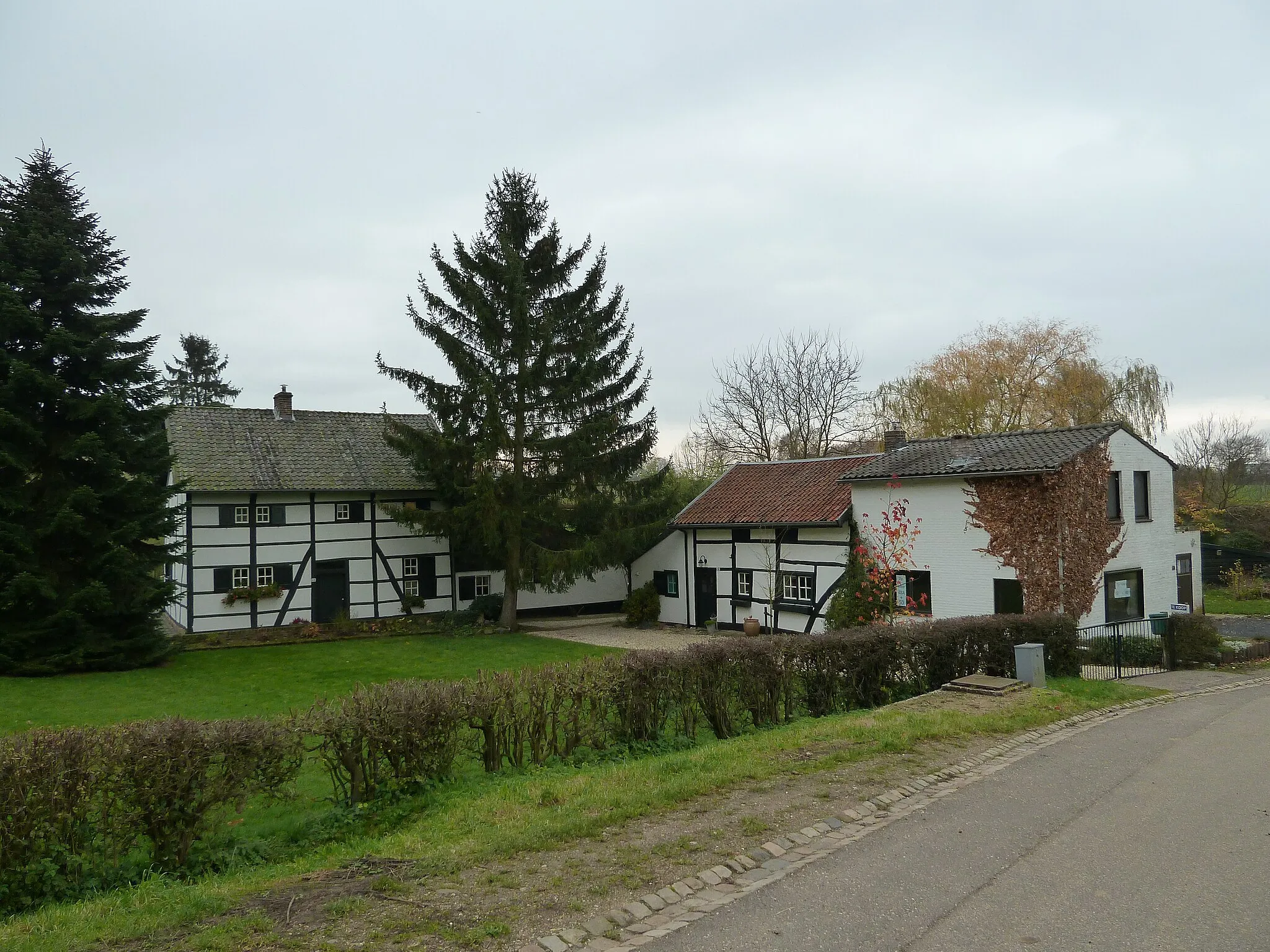 Photo showing: Rott 48, Vijlen, Limburg, the Netherlands