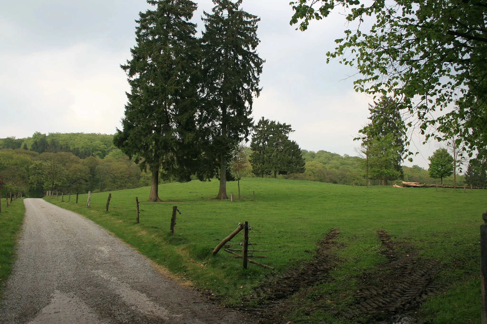 Photo showing: Meadow near Aachen-Entenpfuhl