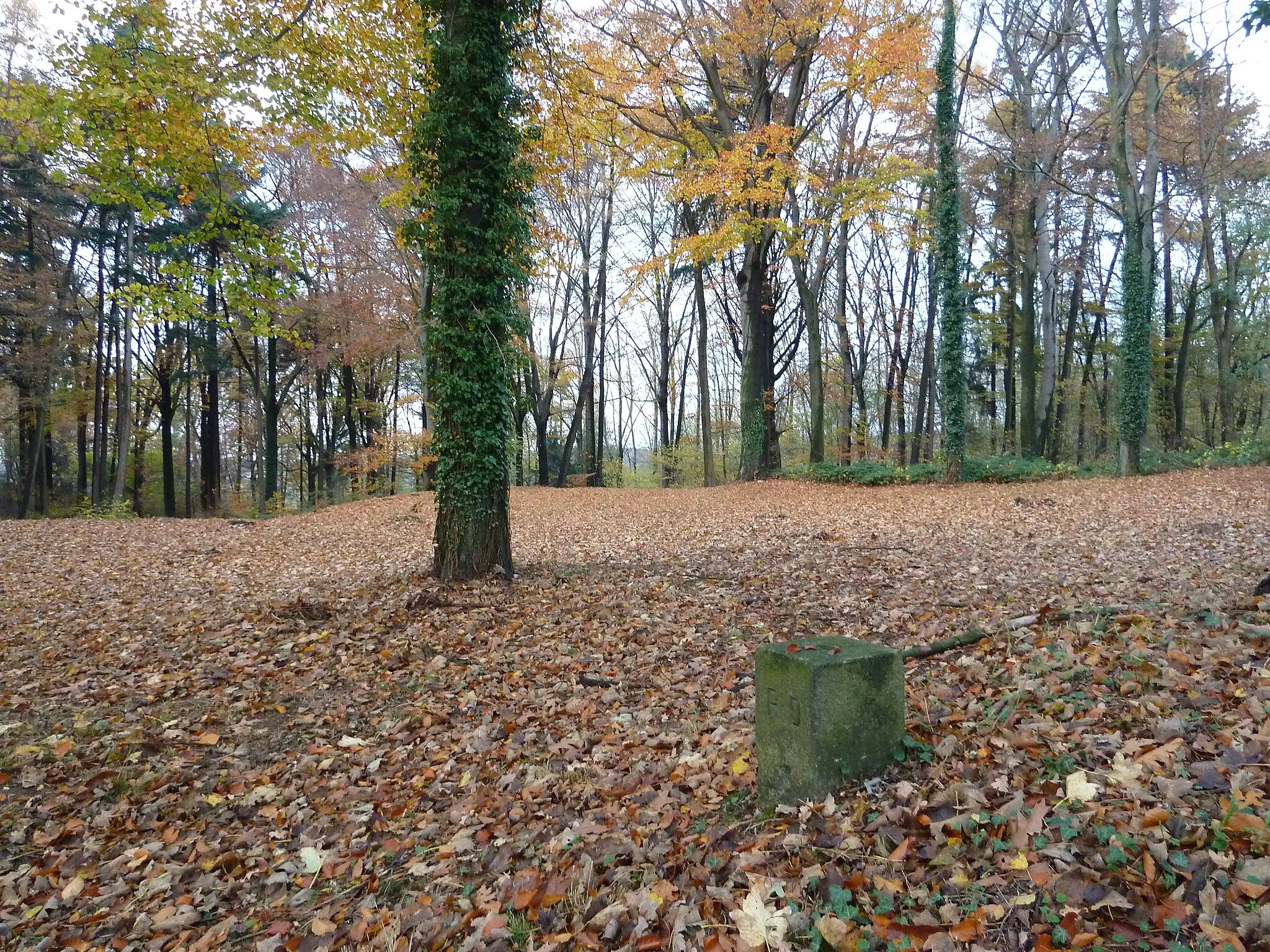 Photo showing: Goudsberg, Valkenburg, Limburg, the Netherlands