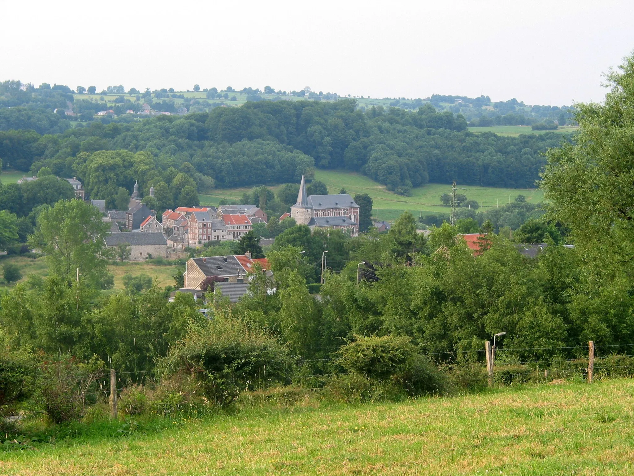 Photo showing: Soiron (Belgique), vu depuis Bouhaye.