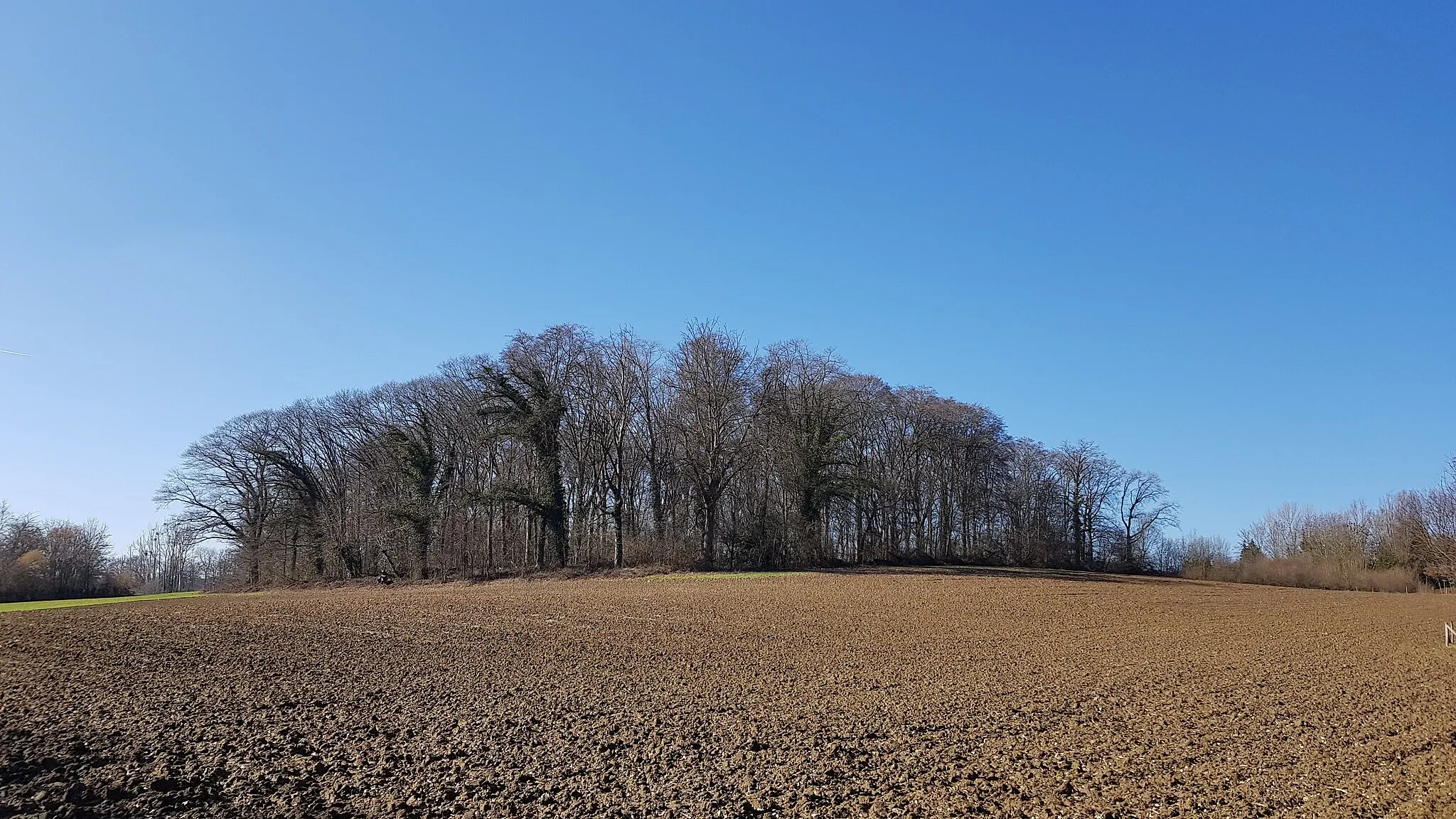 Photo showing: Biesenberg, Schietecoven, Nederland