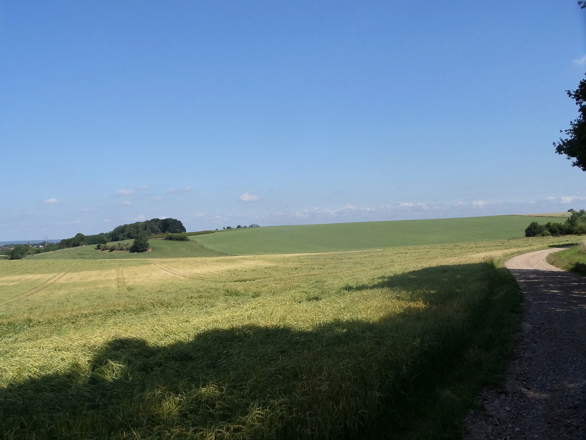 Photo showing: De Heuvel bij Catsop, gezien vanuit het Siekendaal