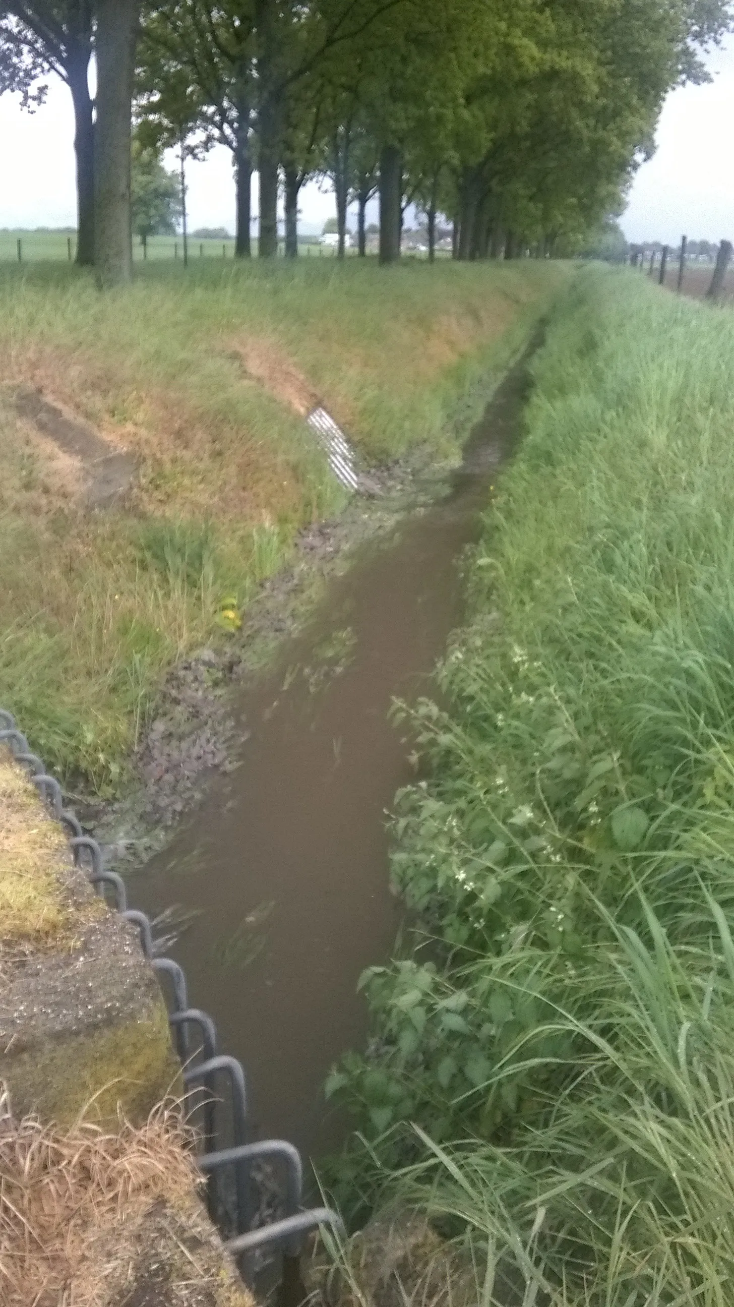 Photo showing: De beek Slond stroomt na een hevige regenbui van Einighausen naar Limbricht. Links tussen de bomen loopt het Slondpad. Helemaal op de achtergrond de bebouwing van de Vosdaalstraat in Limbricht.