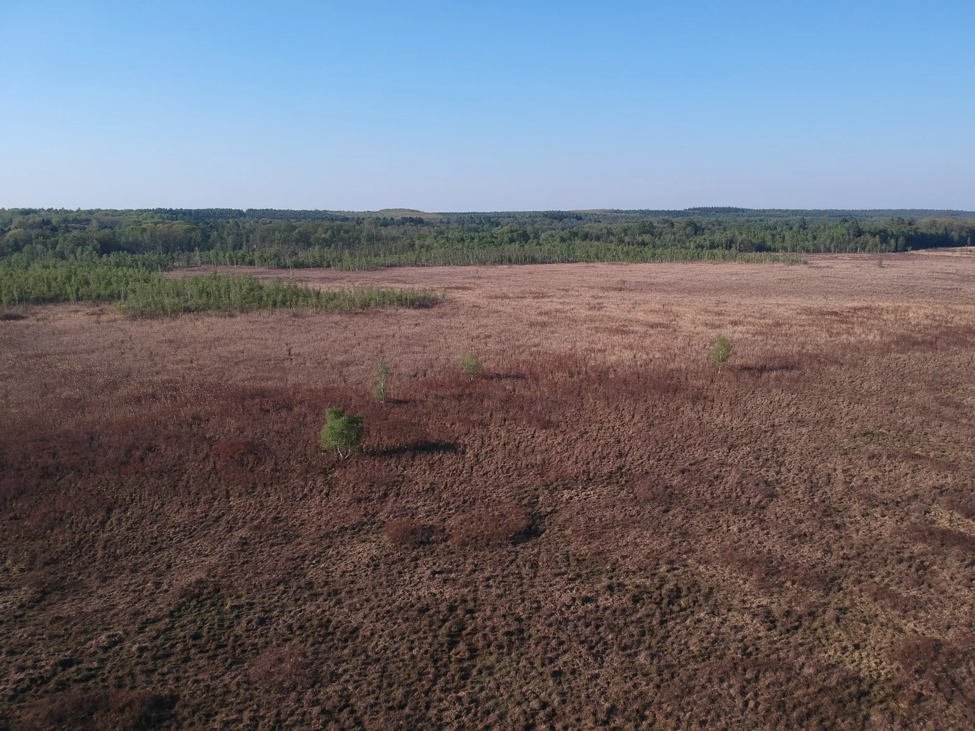 Photo showing: Naturschutzgebiet Elmpter Schwalmbruch