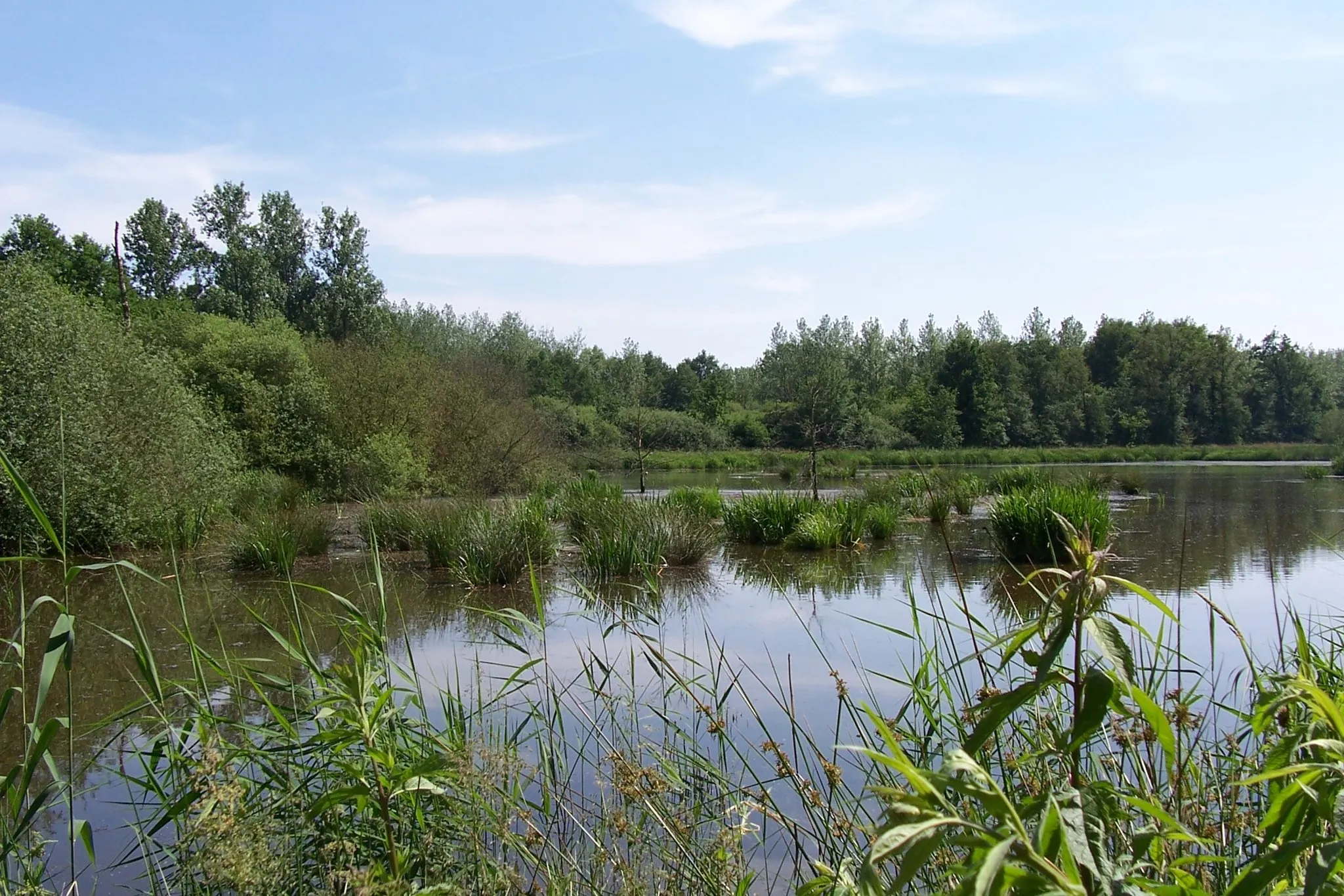 Photo showing: Natuurgebied "De Zig" in Kinrooi.