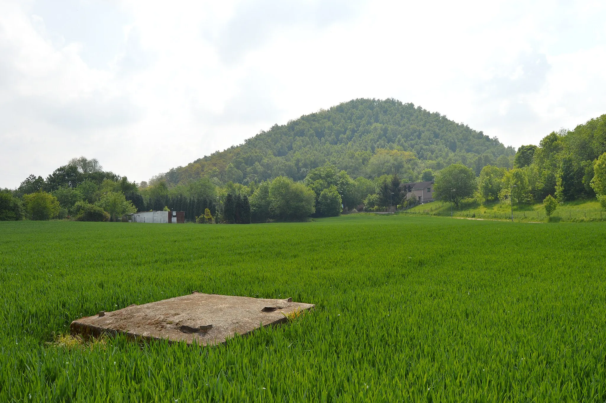 Photo showing: Ancient coal hill of the Petite Bacnure coal mine, and ancient pit by Bouxthay, in Herstal, Belgium.