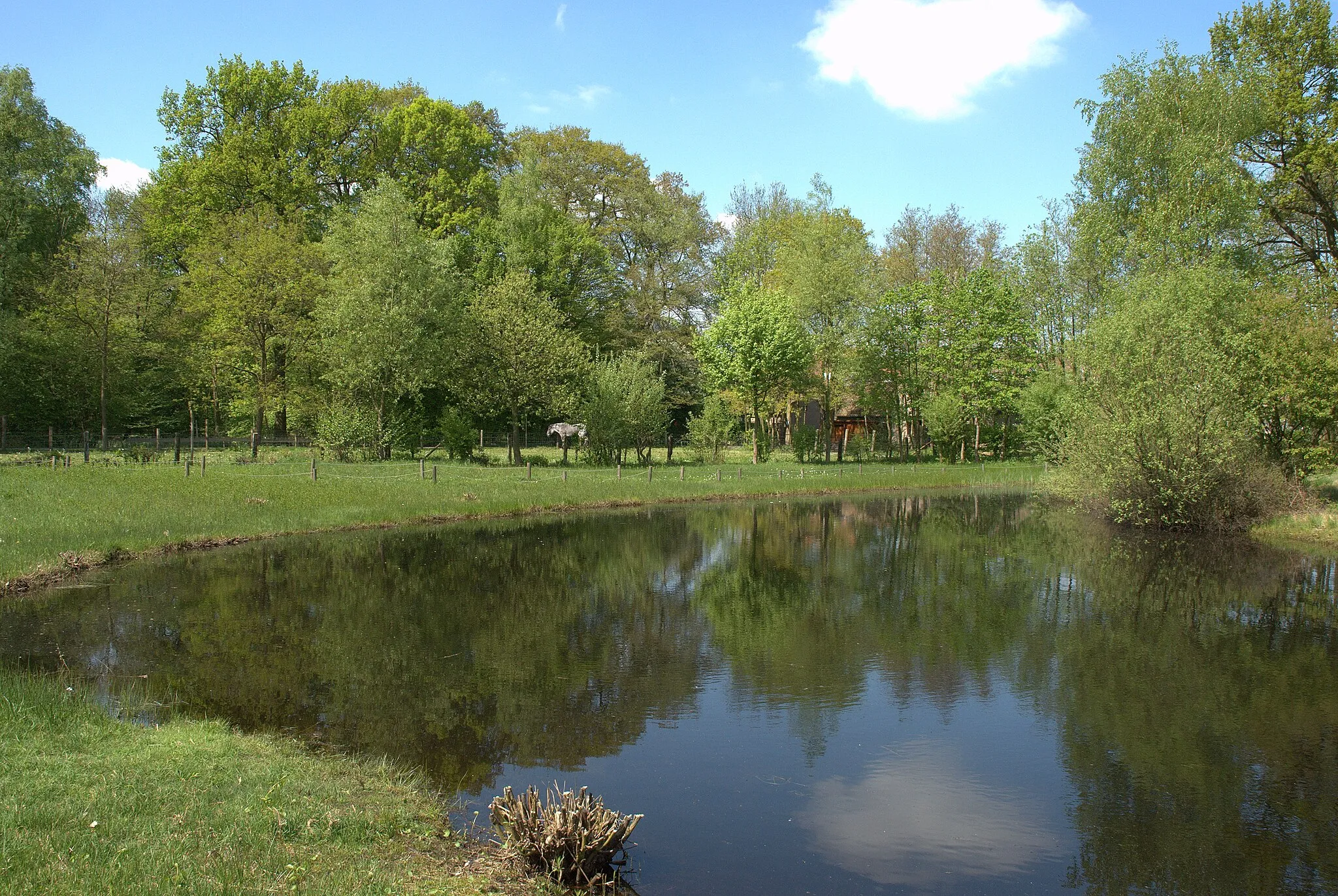 Photo showing: het natuurdomein Kiewit te Hasselt, België