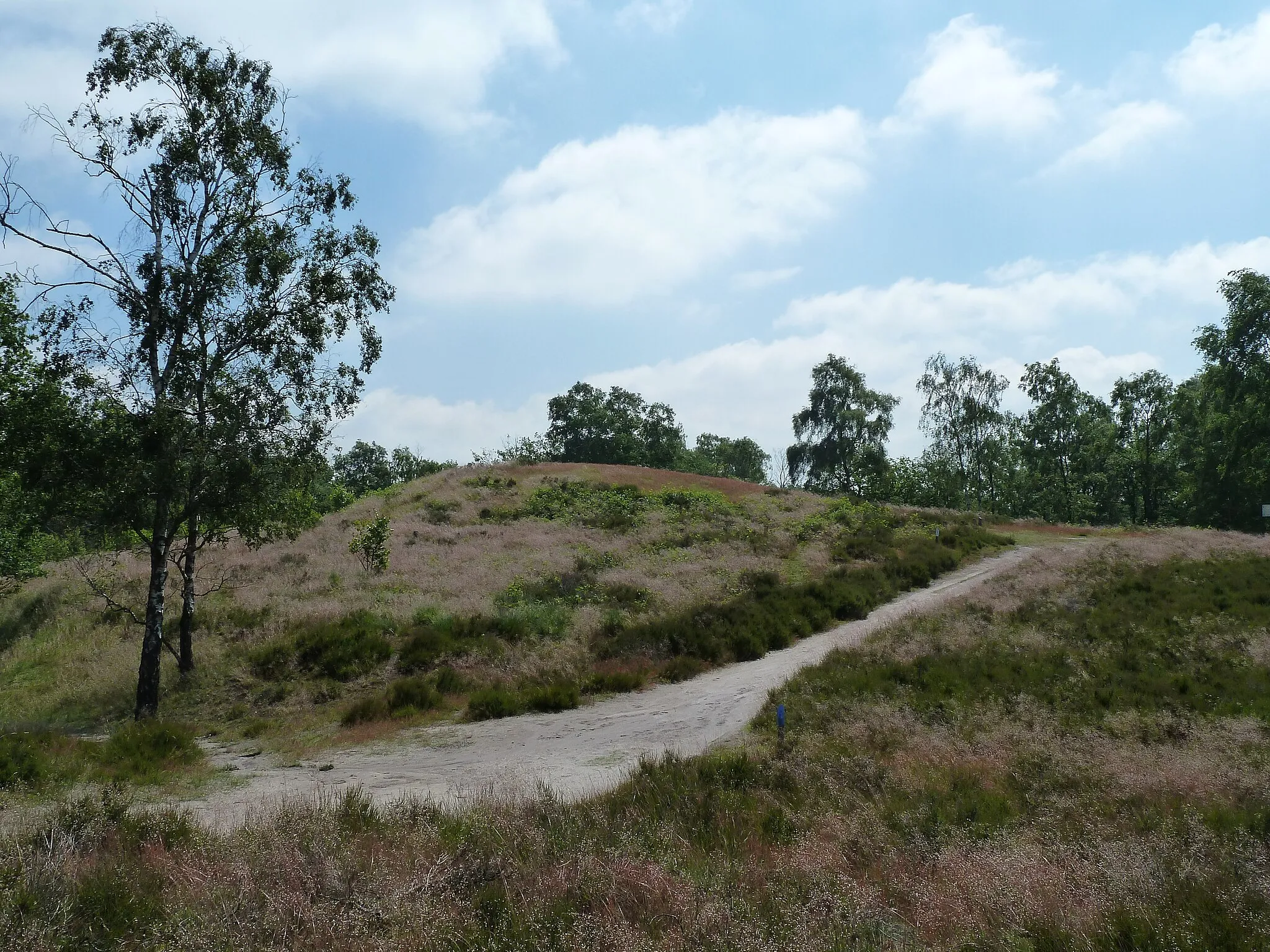 Photo showing: Vorstengraf, De Hamert, Bergen, Limburg, Nederland