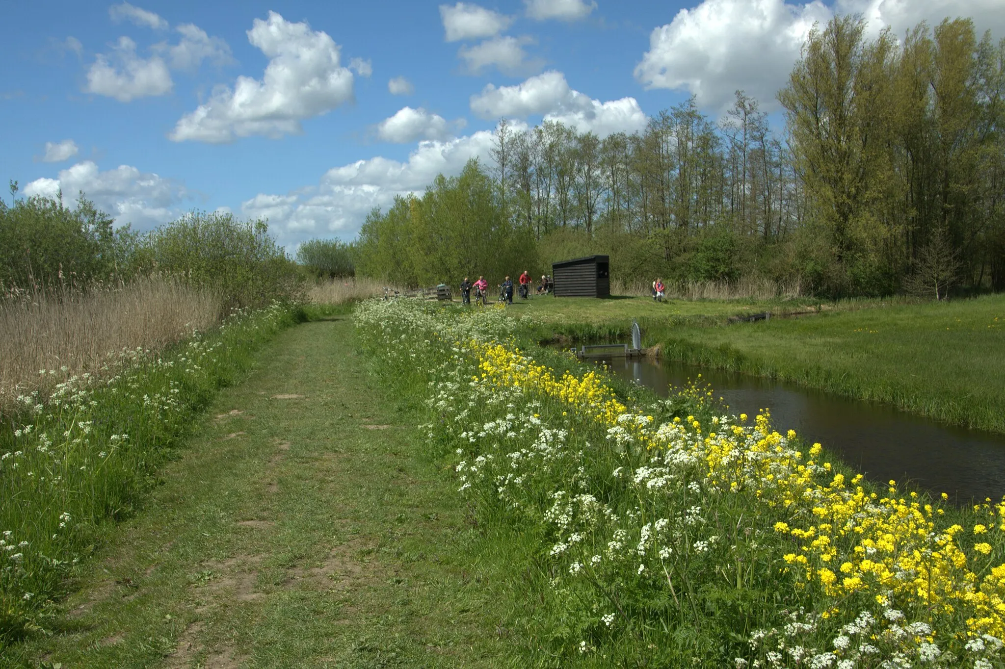 Photo showing: De Zederikkade, prachtig voor een wandeling langs de Oude Zederik van Ameide naar Meerkerk vv.