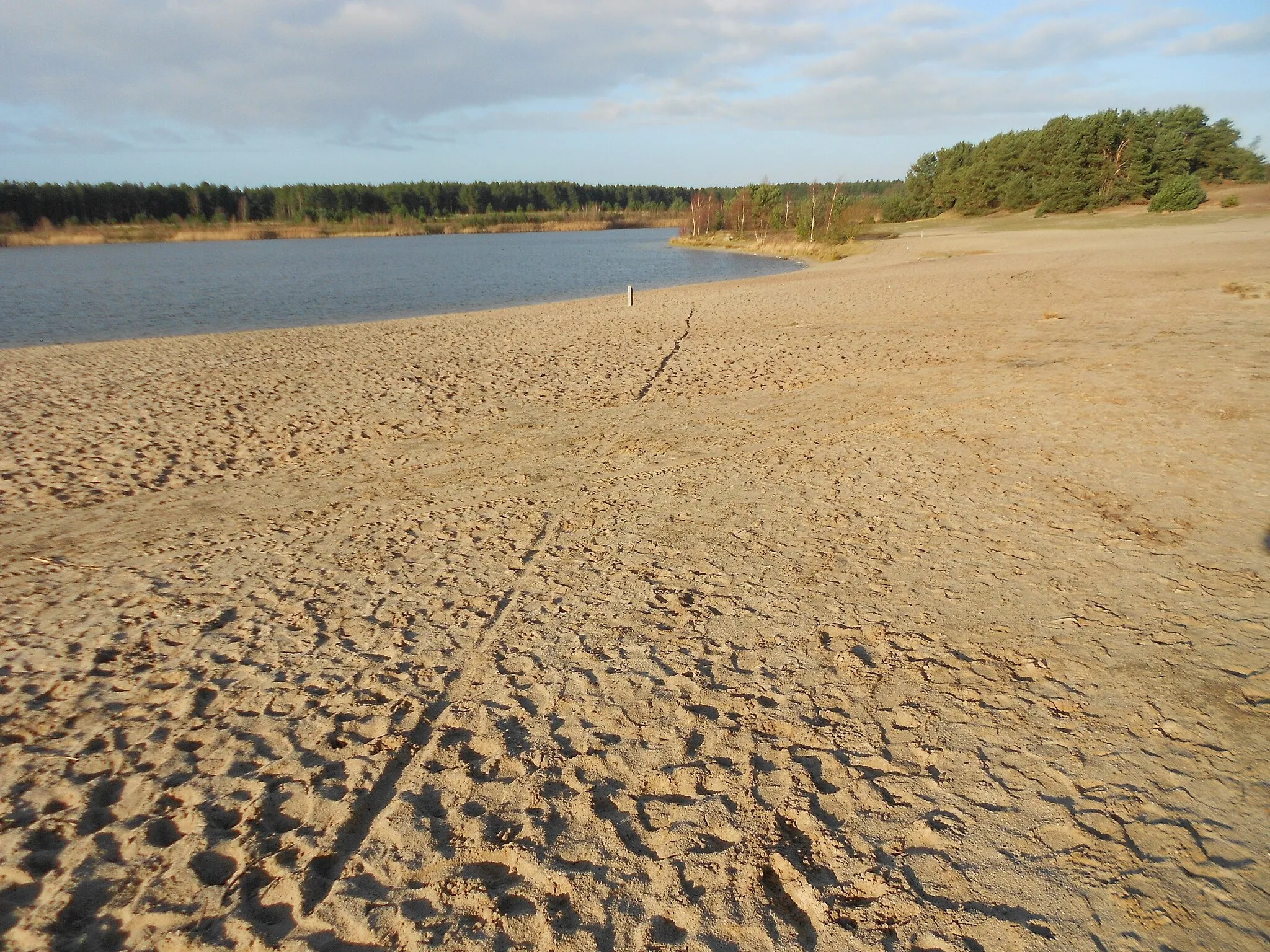 Photo showing: Gezicht op de Lommelse Sahara.