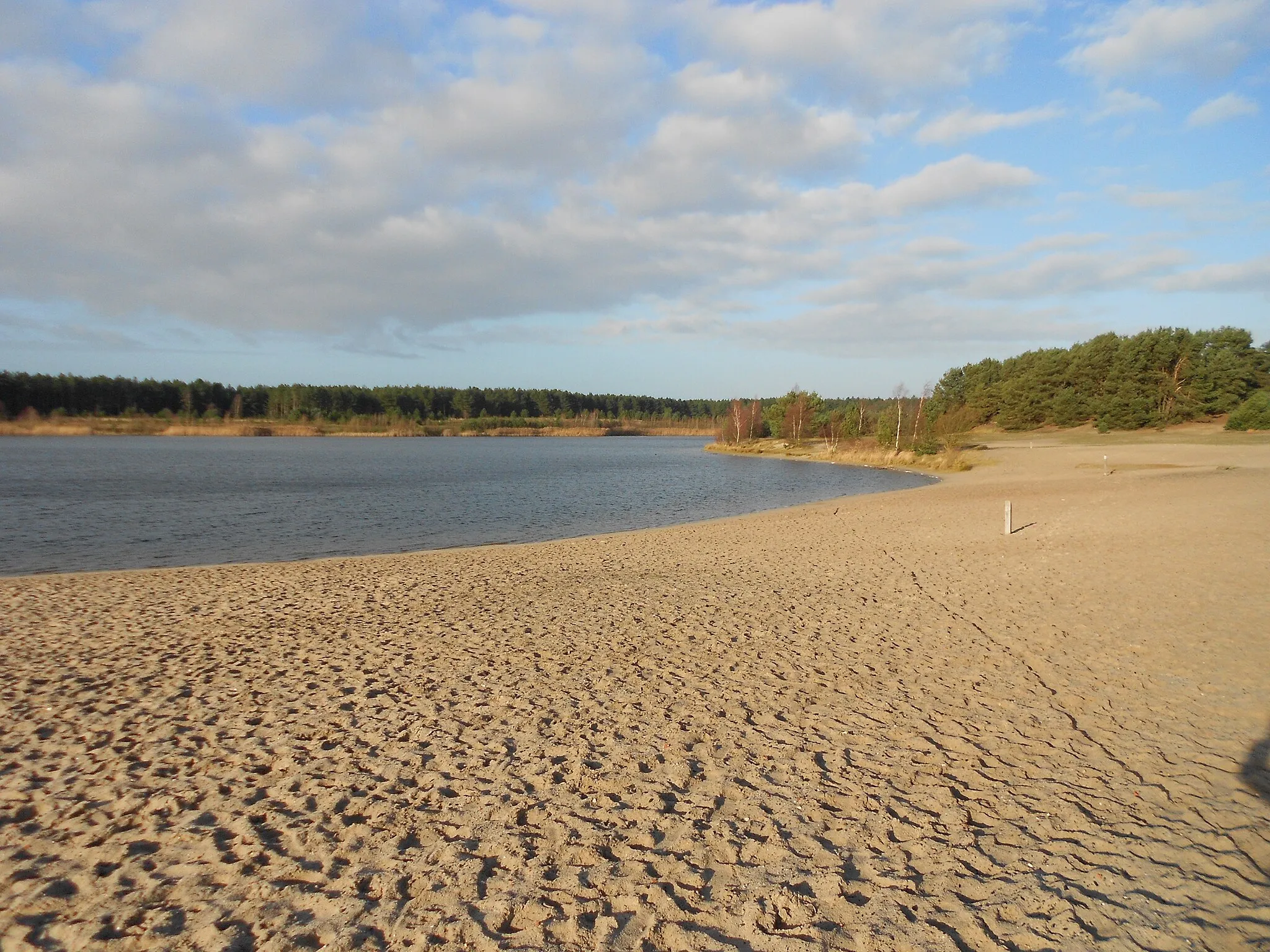 Photo showing: Gezicht op de Lommelse Sahara.