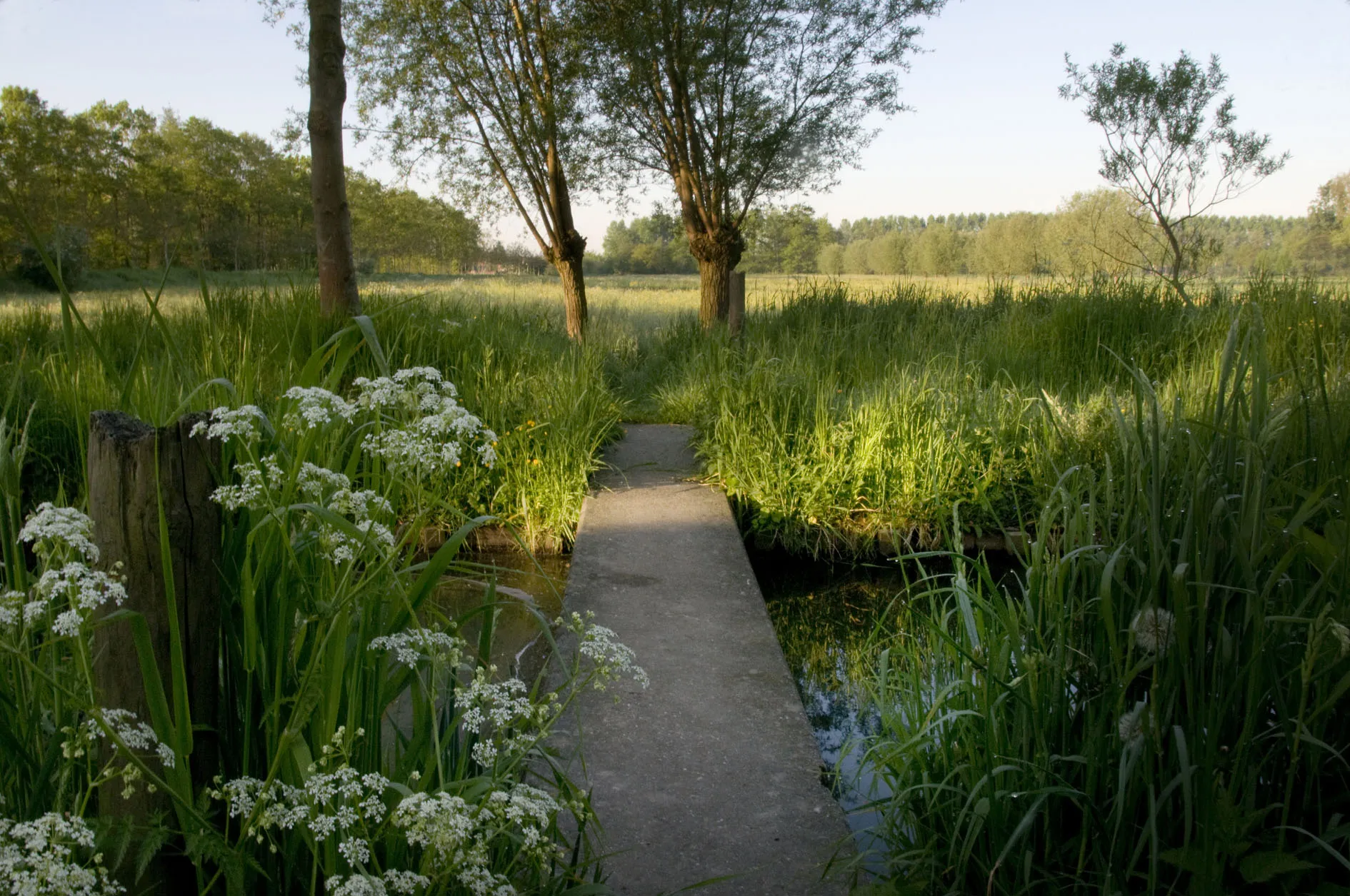 Photo showing: Lommel-Kolonie, De Watering (hooiweiden).