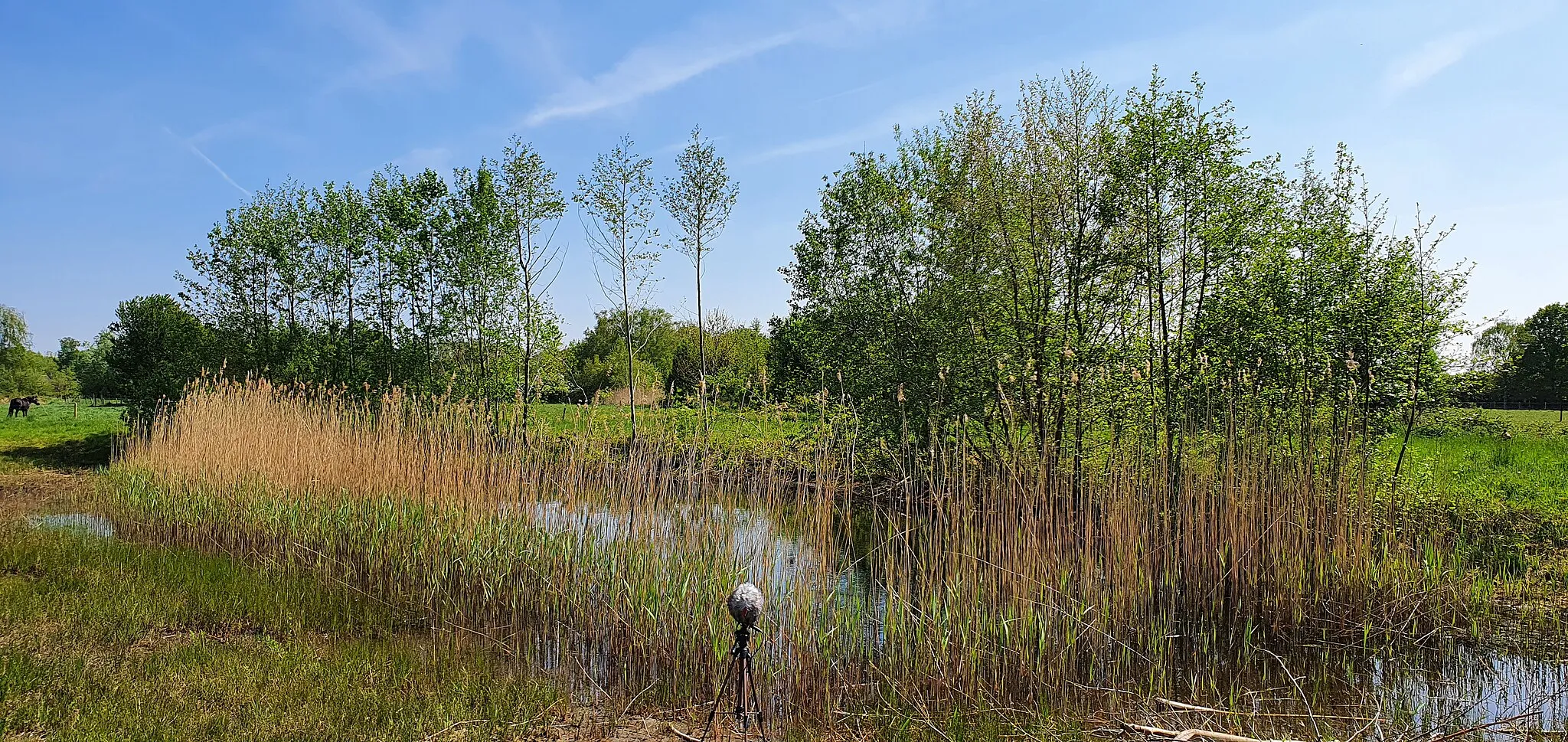 Photo showing: Enigsinds glooiend landschap