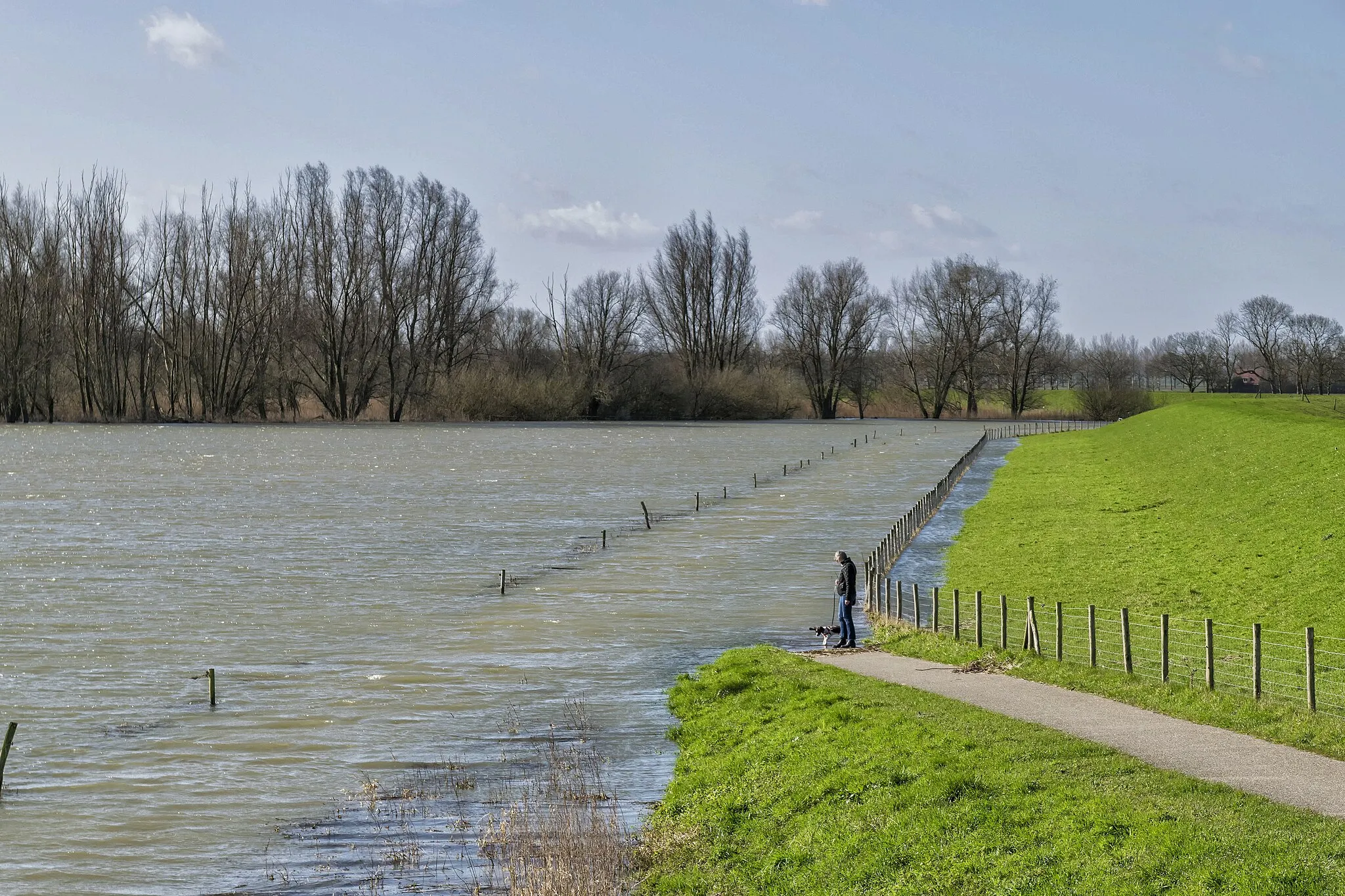 Photo showing: A series of High tide in the Marshlands The Biesbosch in the Netherlands (Holland)