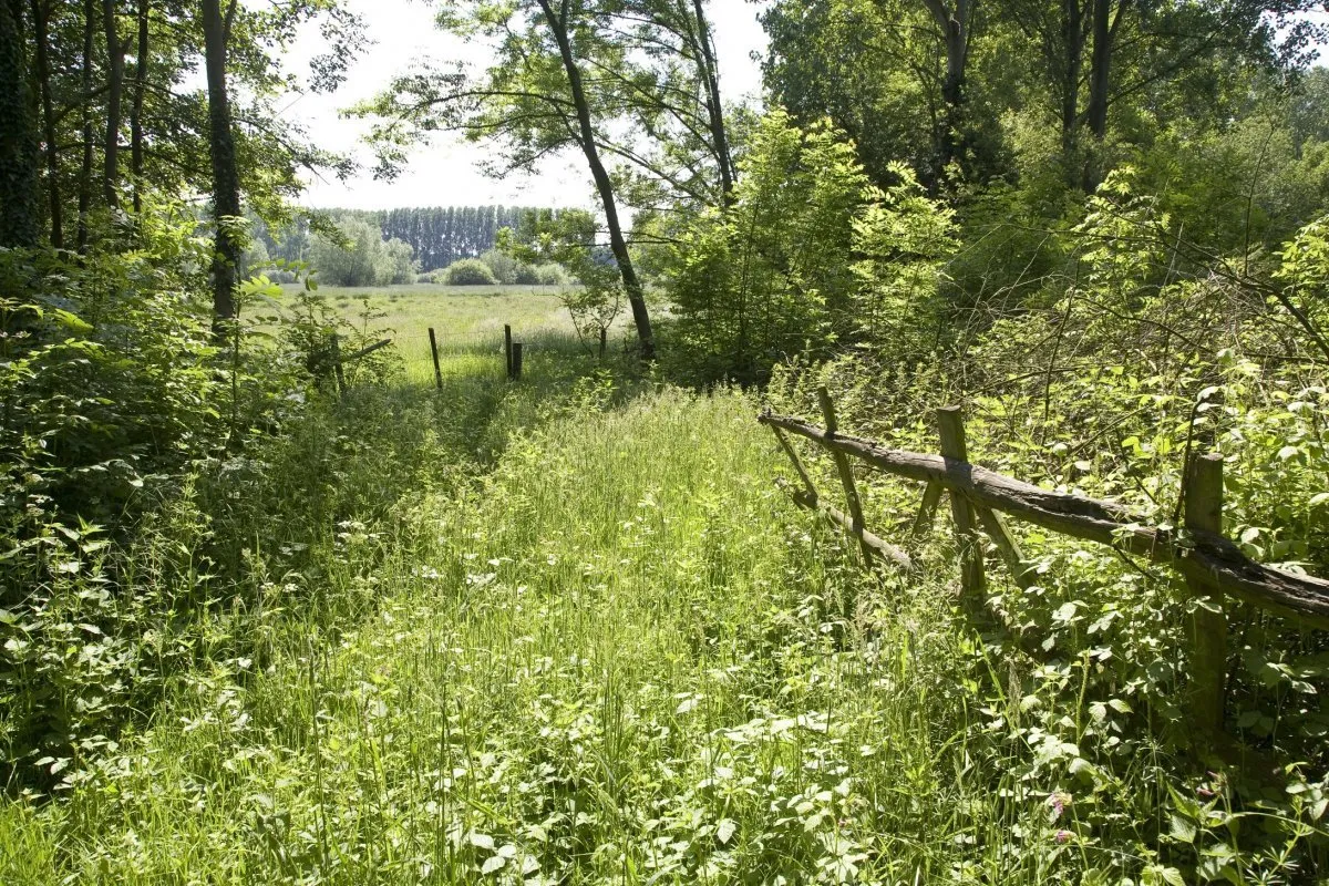 Photo showing: Het Groene Woud: Het Nationale Landschap Het Groene Woud (opmerking: Gefotografeerd voor publicatie Cultuurlandschap)