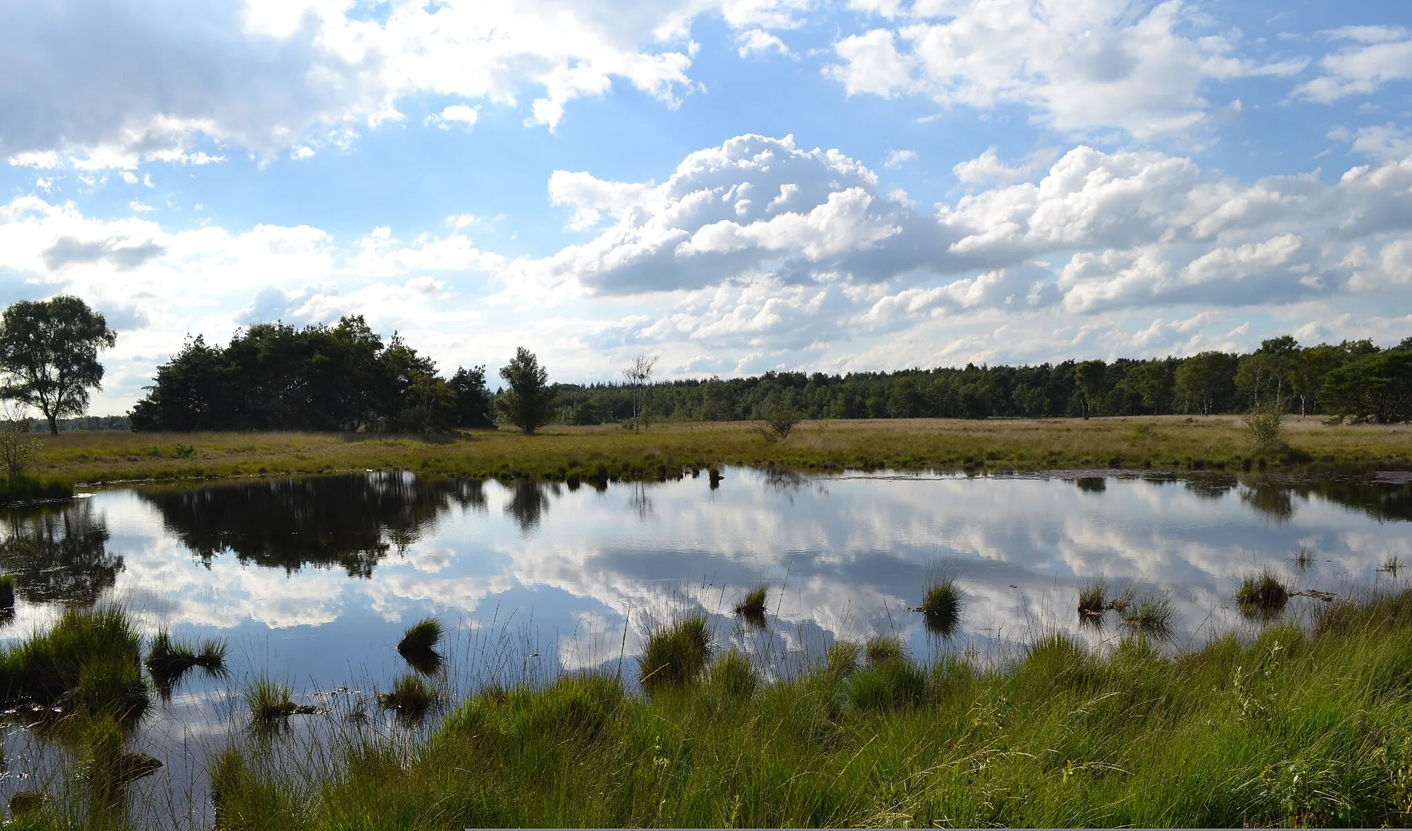 Photo showing: Neterselse heide 3