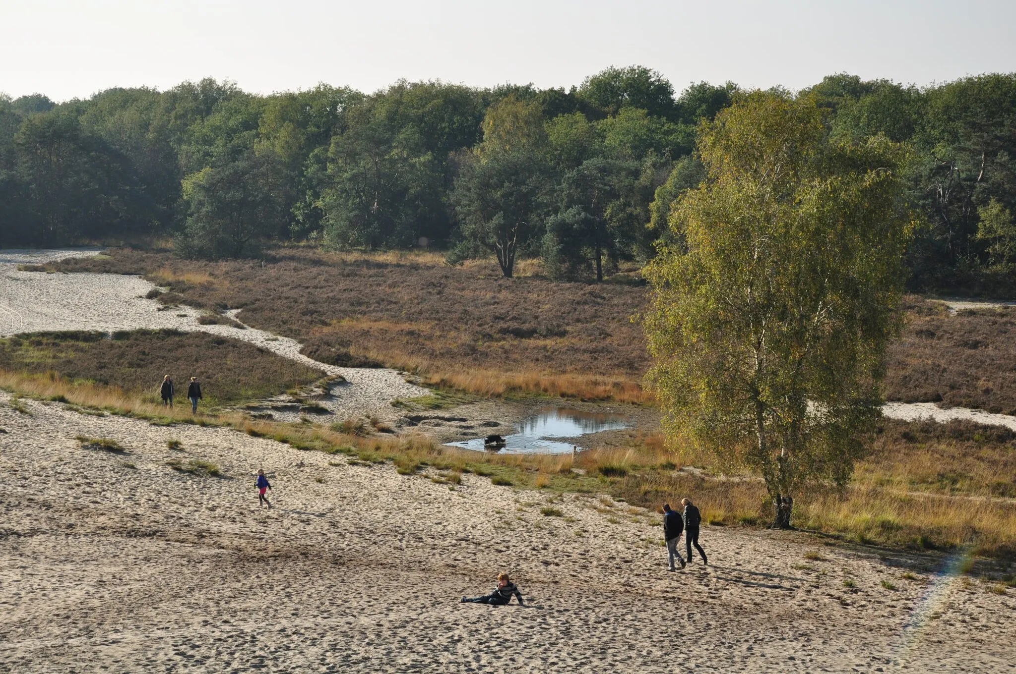 Photo showing: View from the dunes at Bedaf, a hamlet near Uden (Province of North Brabant, Netherlands).