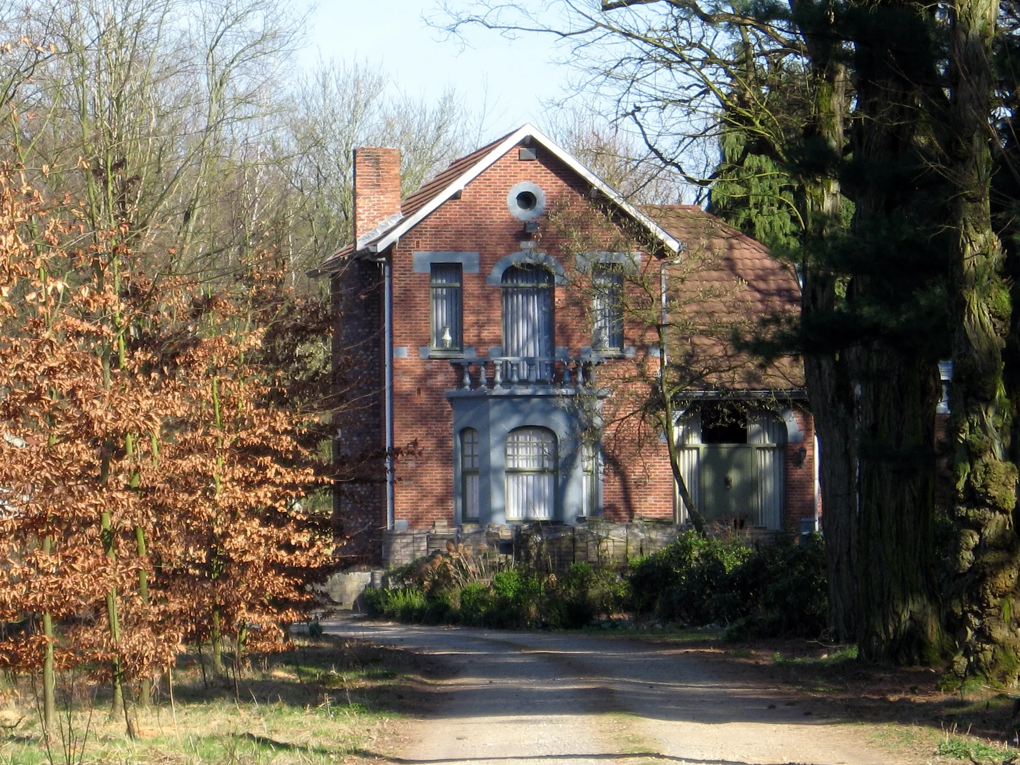 Photo showing: Alleenstaand villaatje Ter Bosch in Helchteren