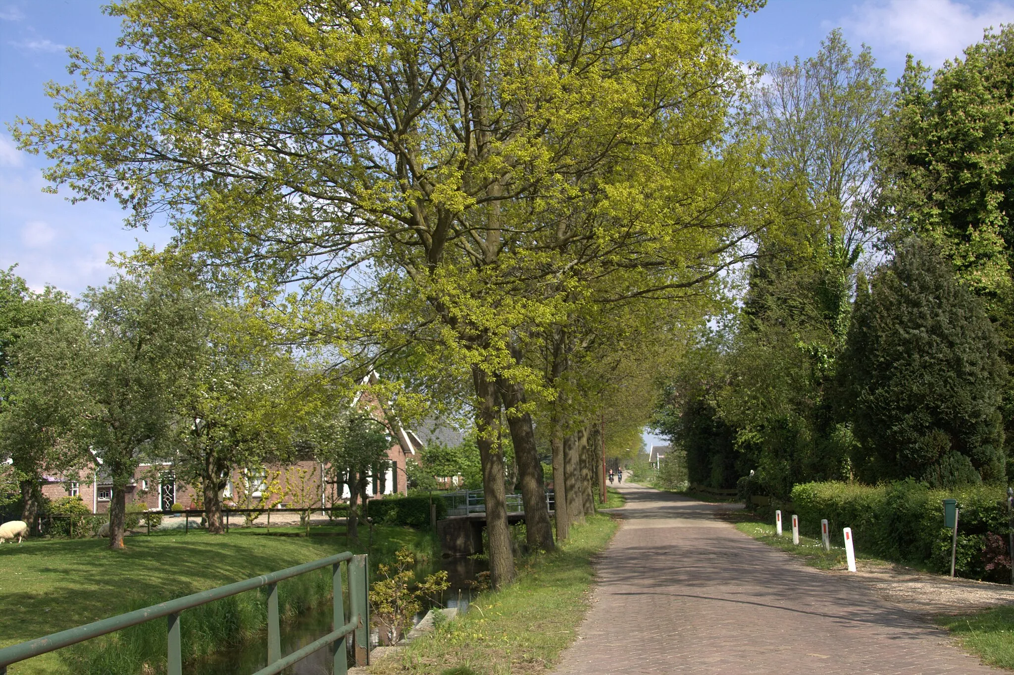 Photo showing: De Overeindseweg in oostelijke richting gezien, naar de Heemsteedseweg in Houten .De Overeindseweg behoort bij de gemeente Nieuwegein. We zijn hier dicht bij de baterijen aan de Overeindseweg een fort van de Nieuwe Hollandse Waterlinie..